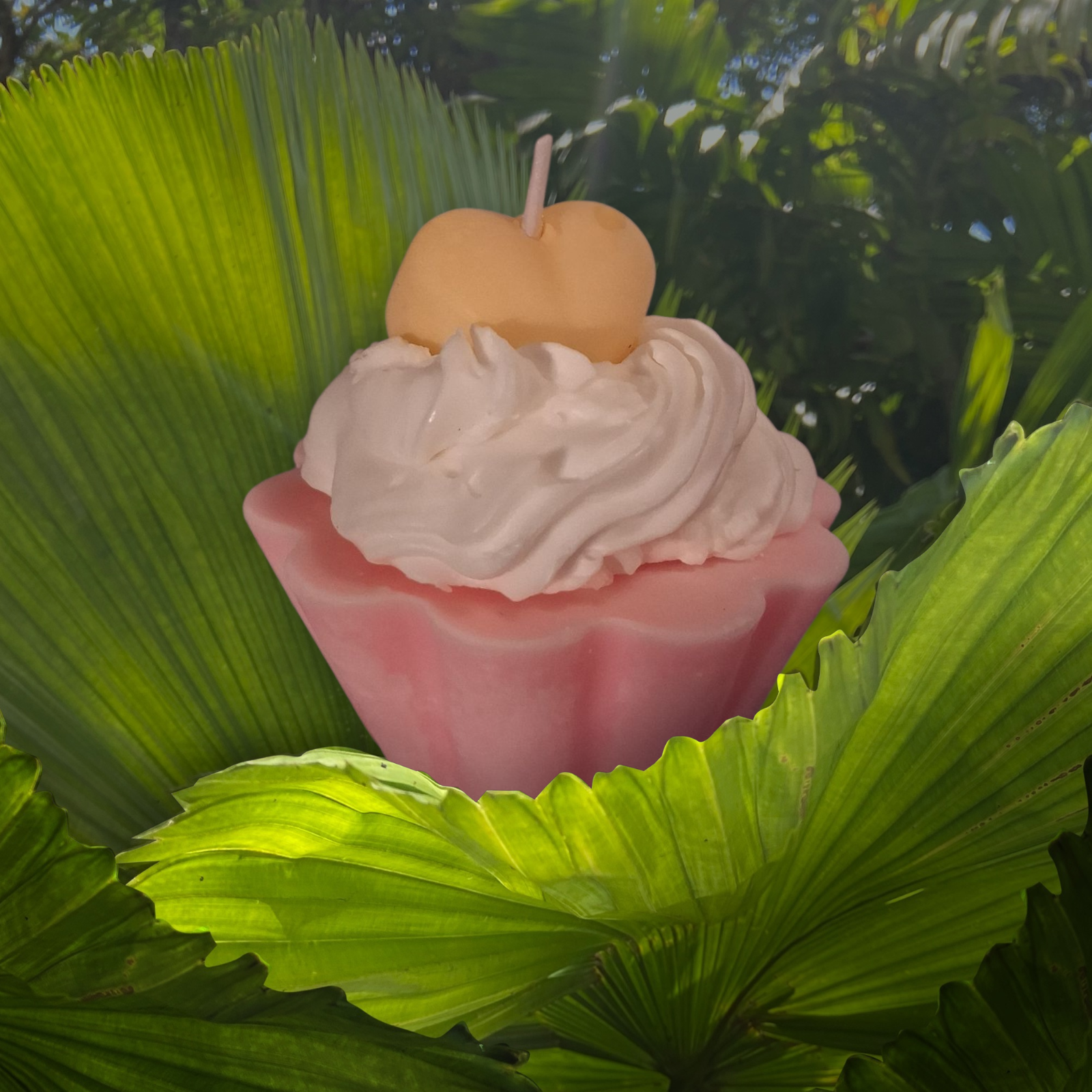 Buttered Cream Cupcake
