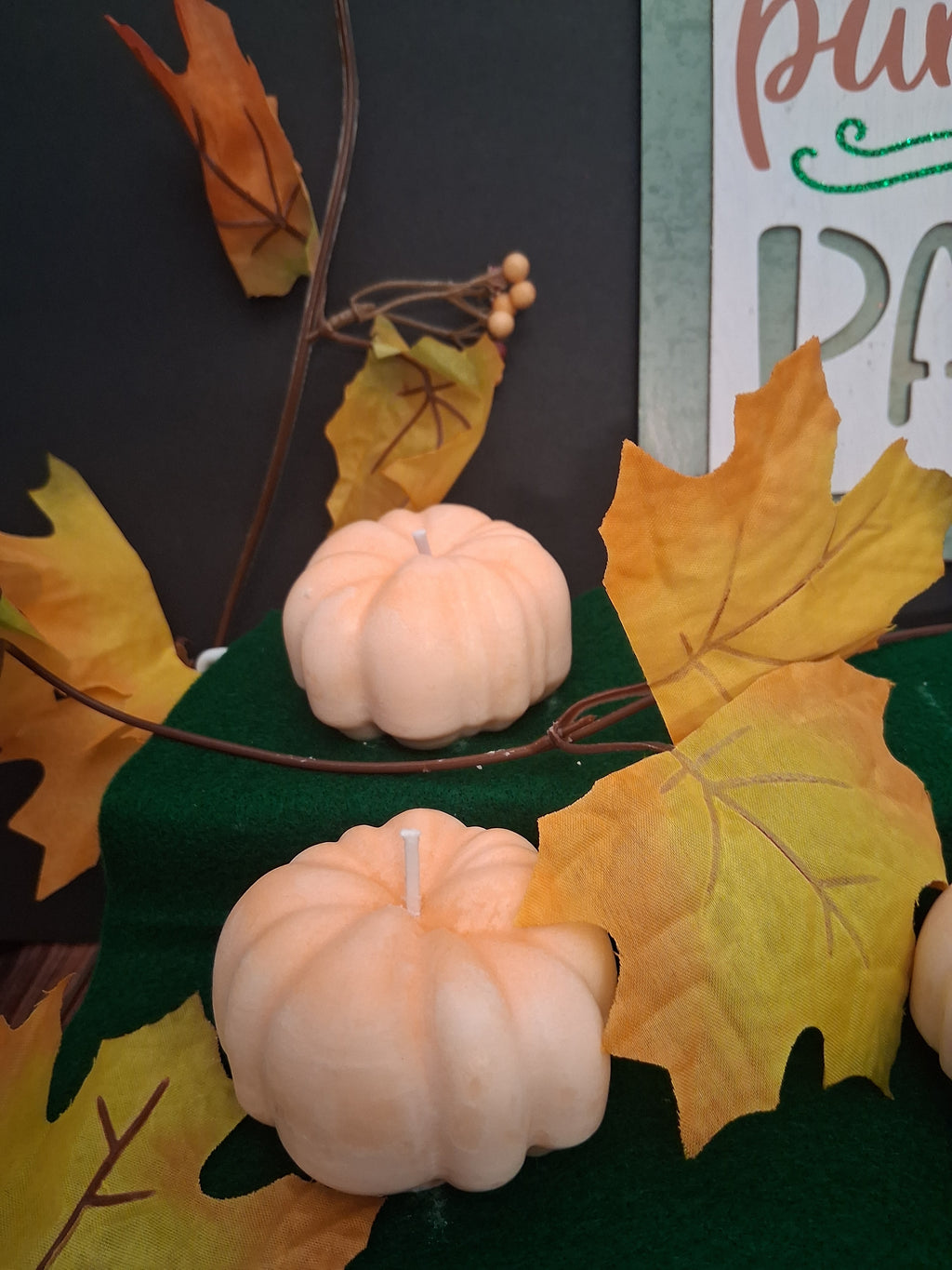 Pumpkin Patch 4 (Set of 2)