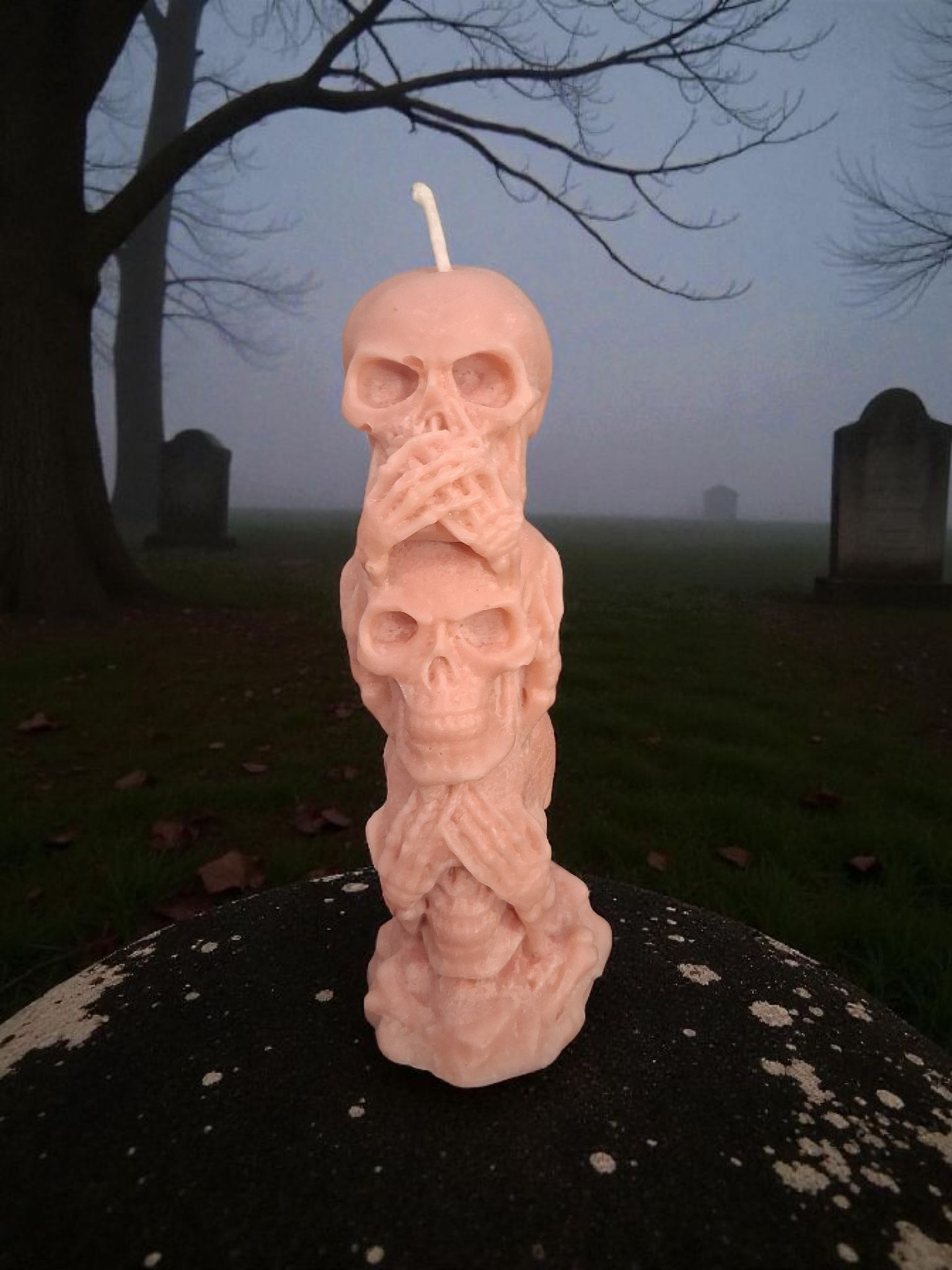 Silent Skull Sentinel ☠️