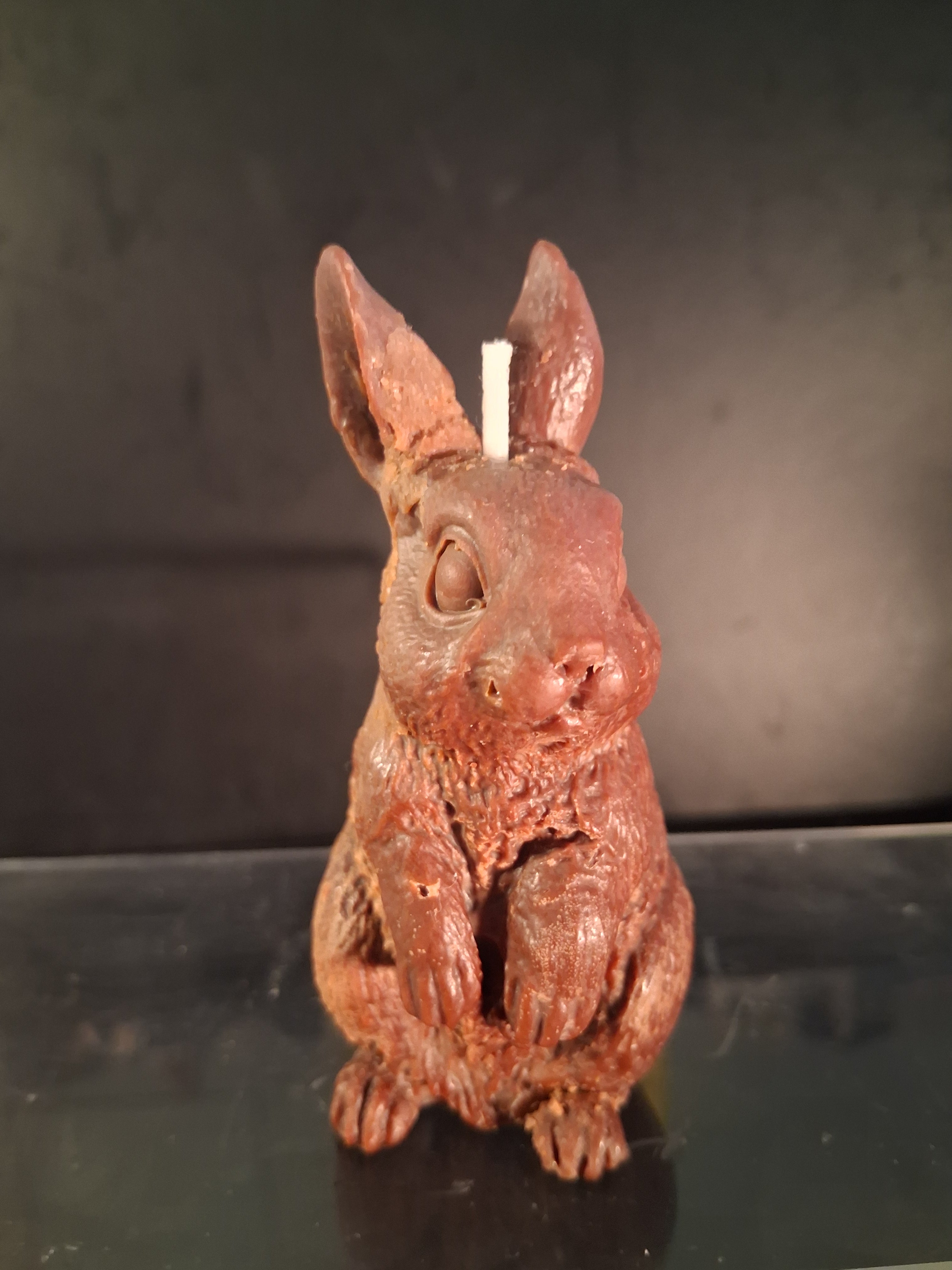 Honey Bunny