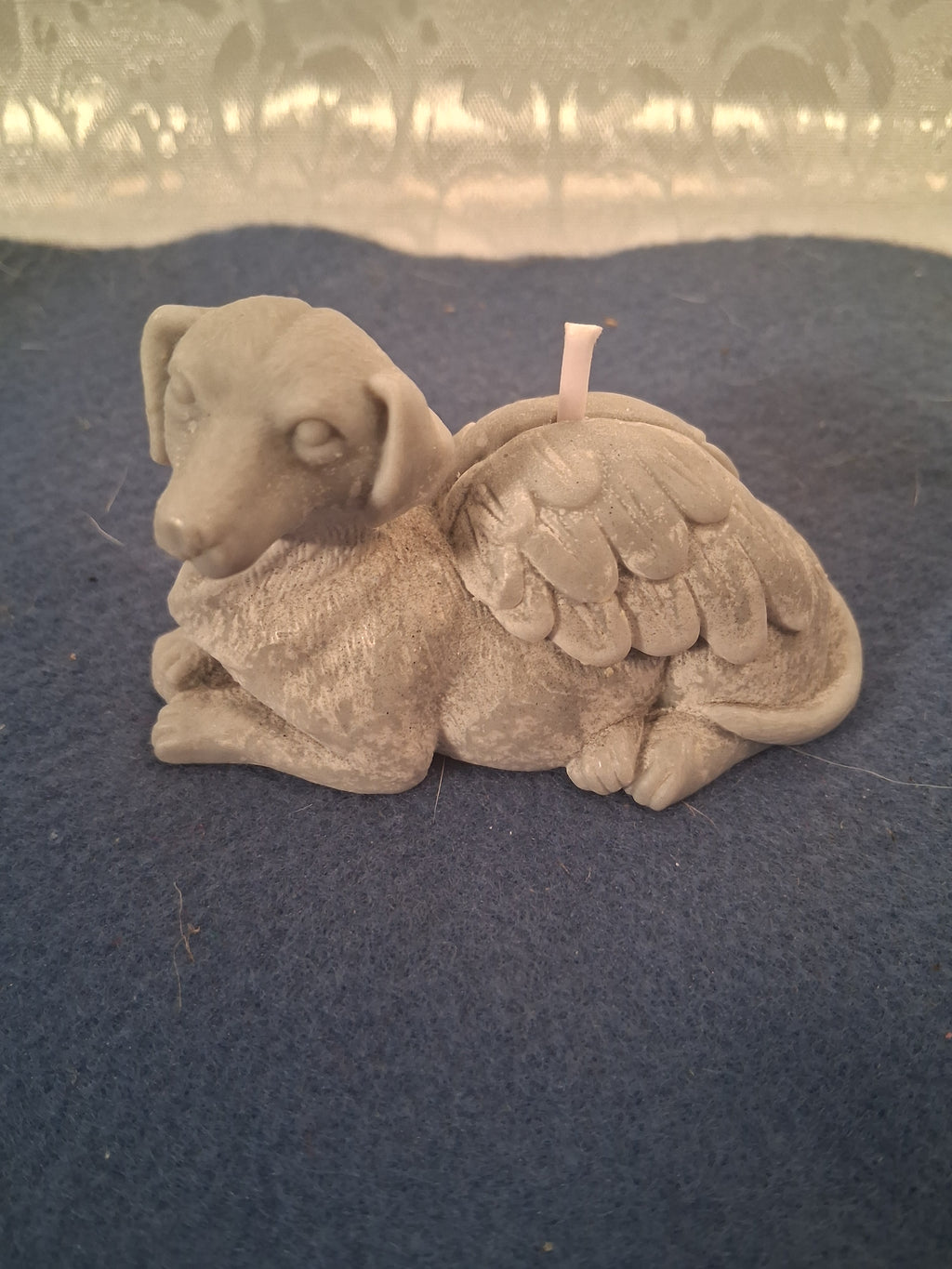 Celestial Canine Rest