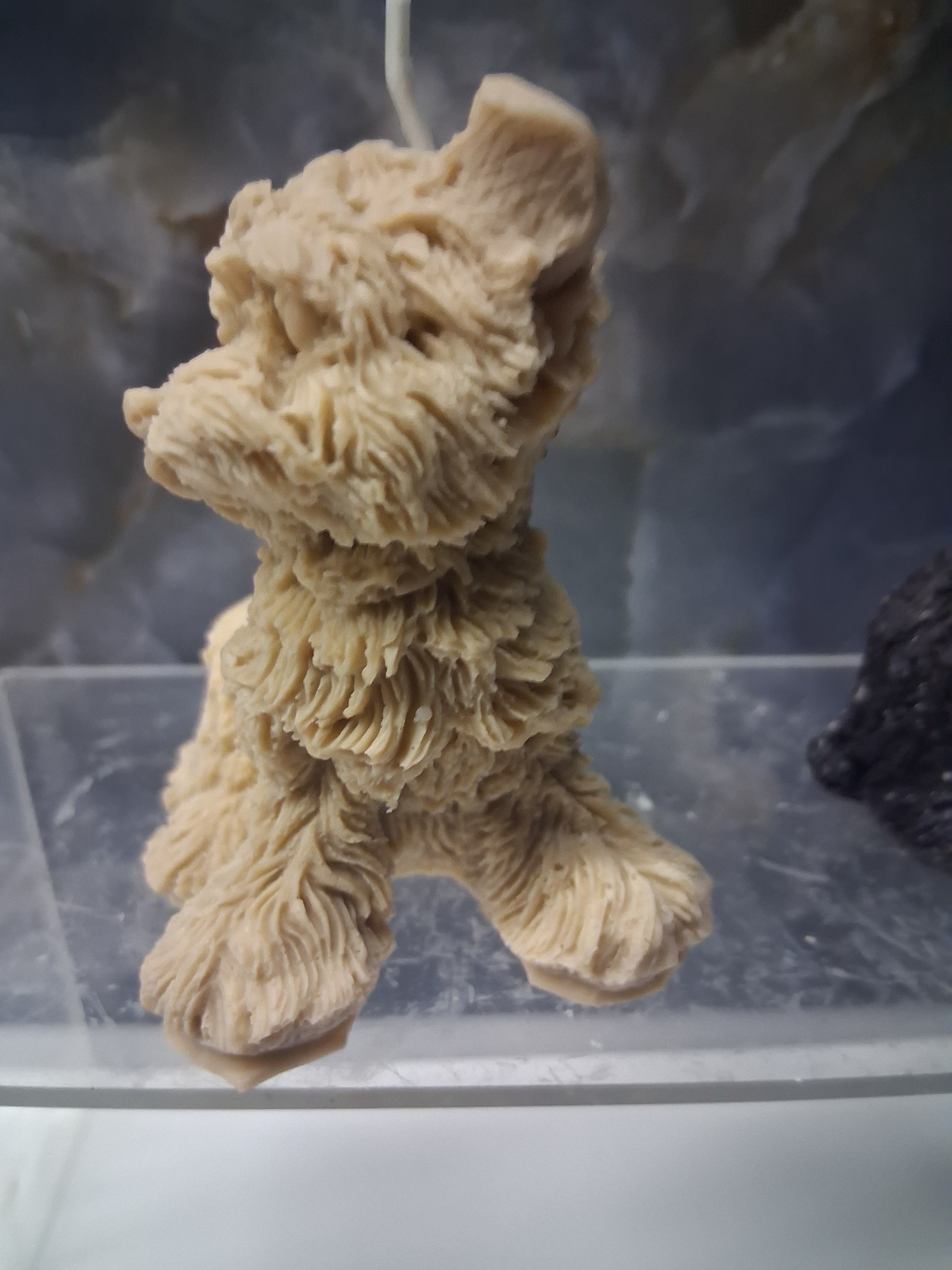 Scruffy Terrier