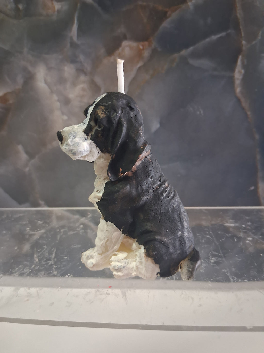 Bloodhound Trail Torch