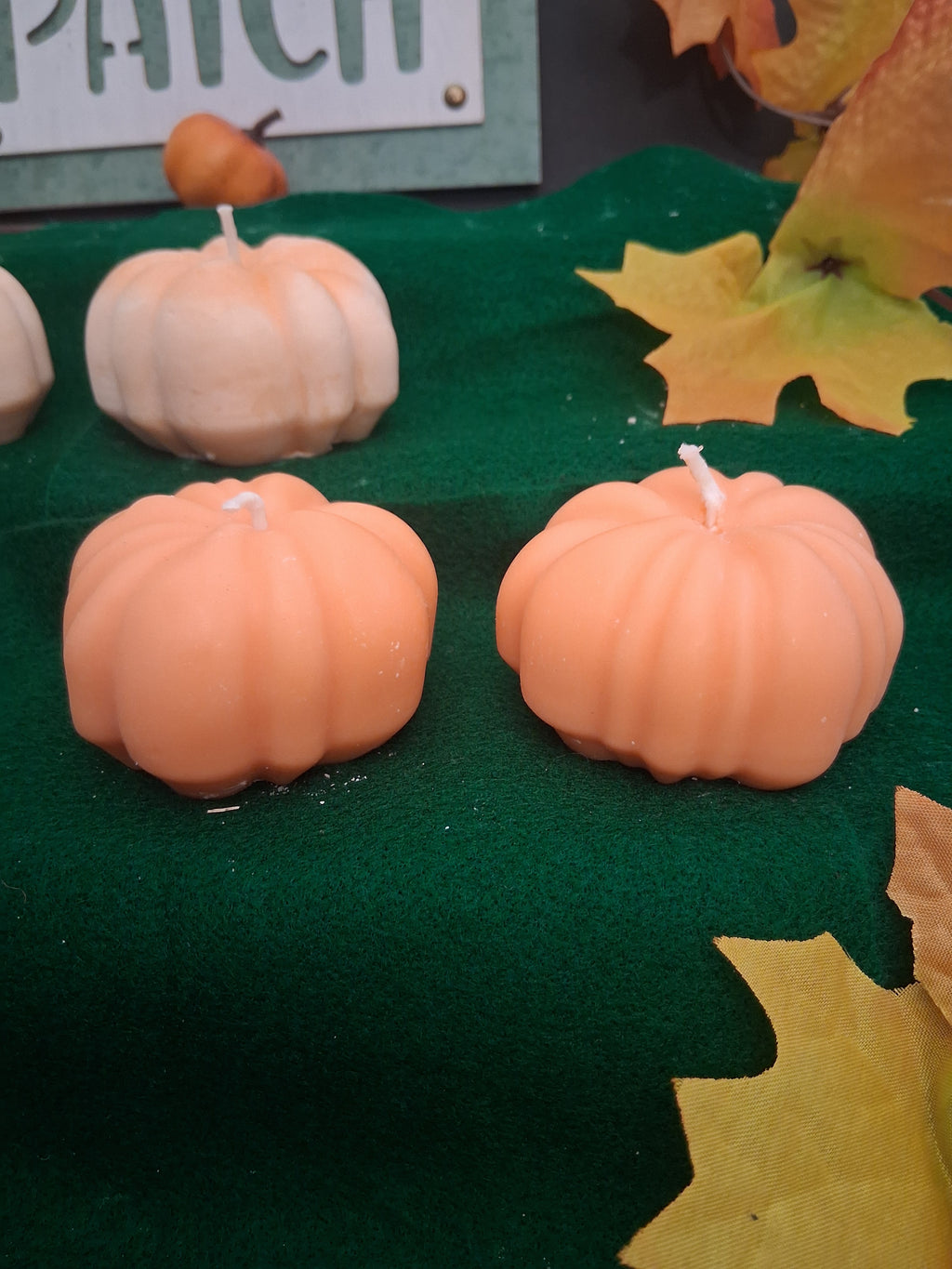 Pumpkin Patch 5 (Set of 2)