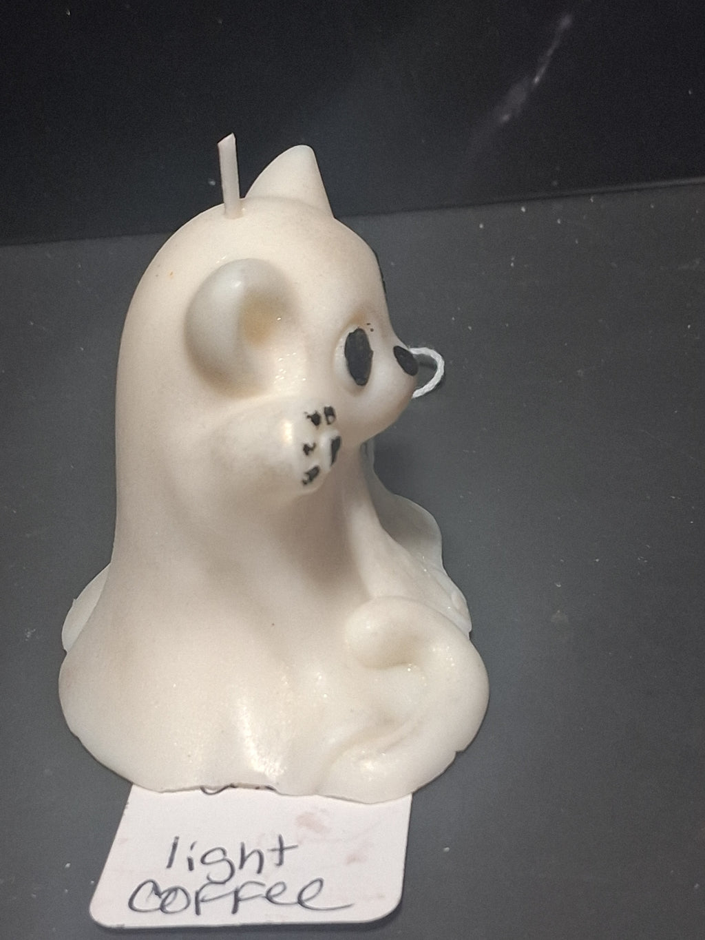 BOO! Cat