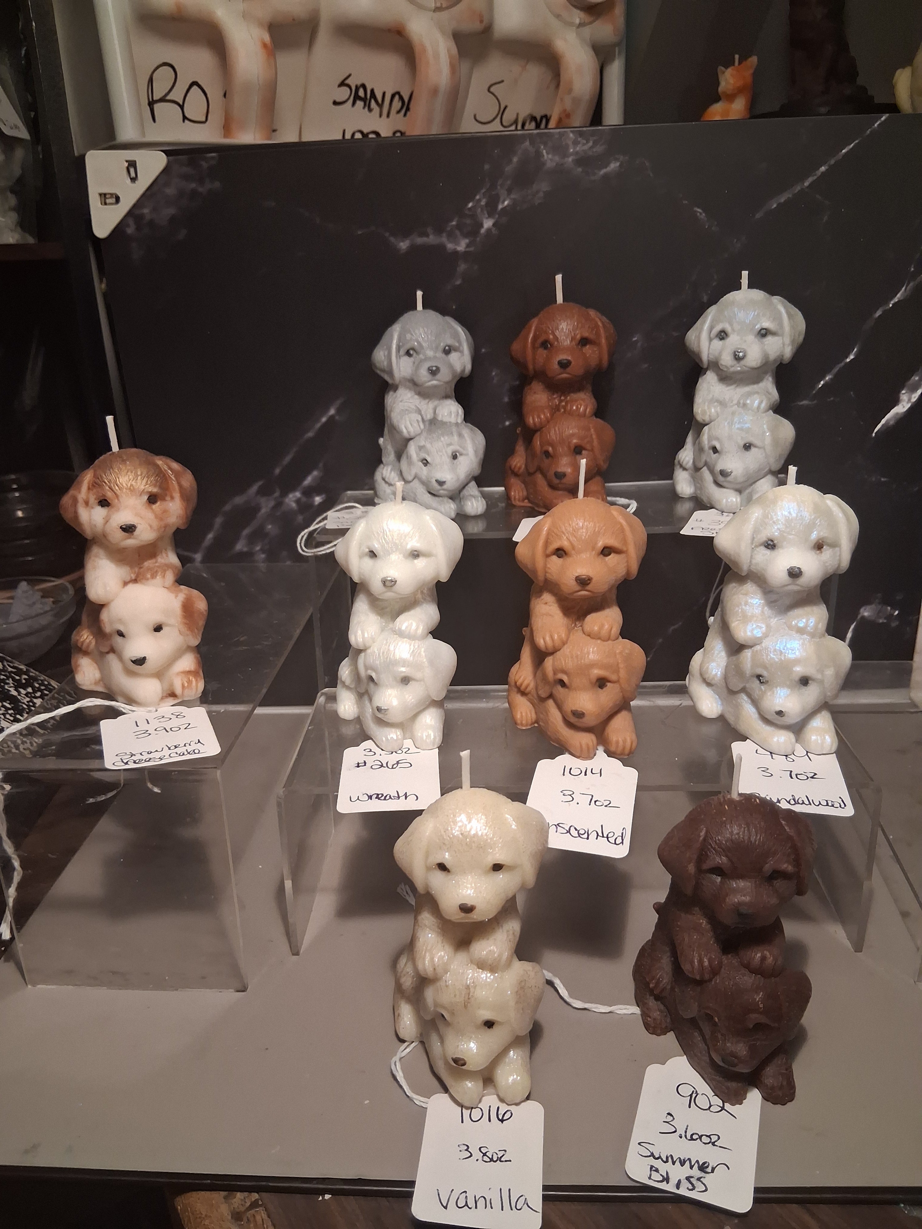 Pup Paw Prism