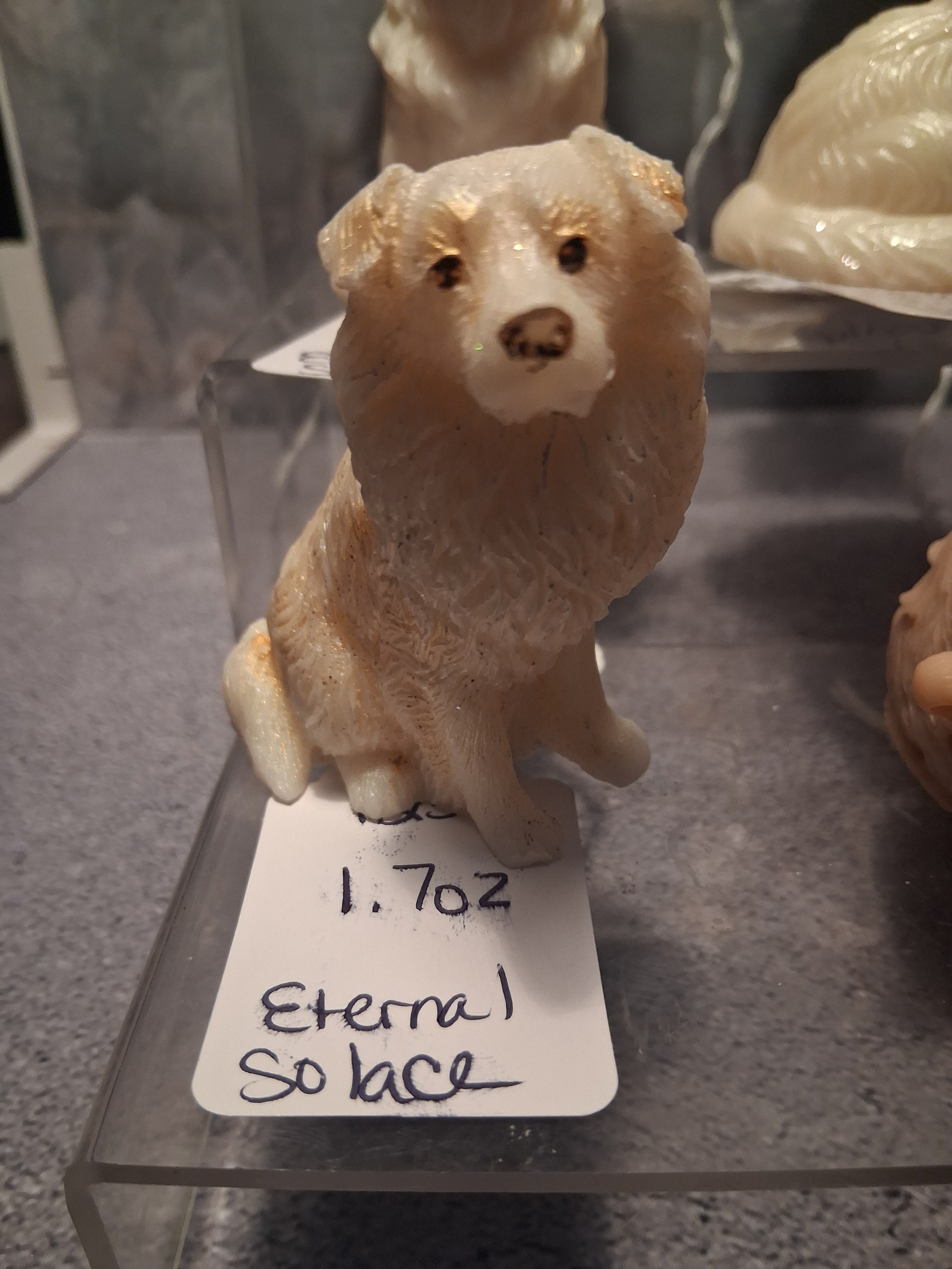 The Spirited Sheltie