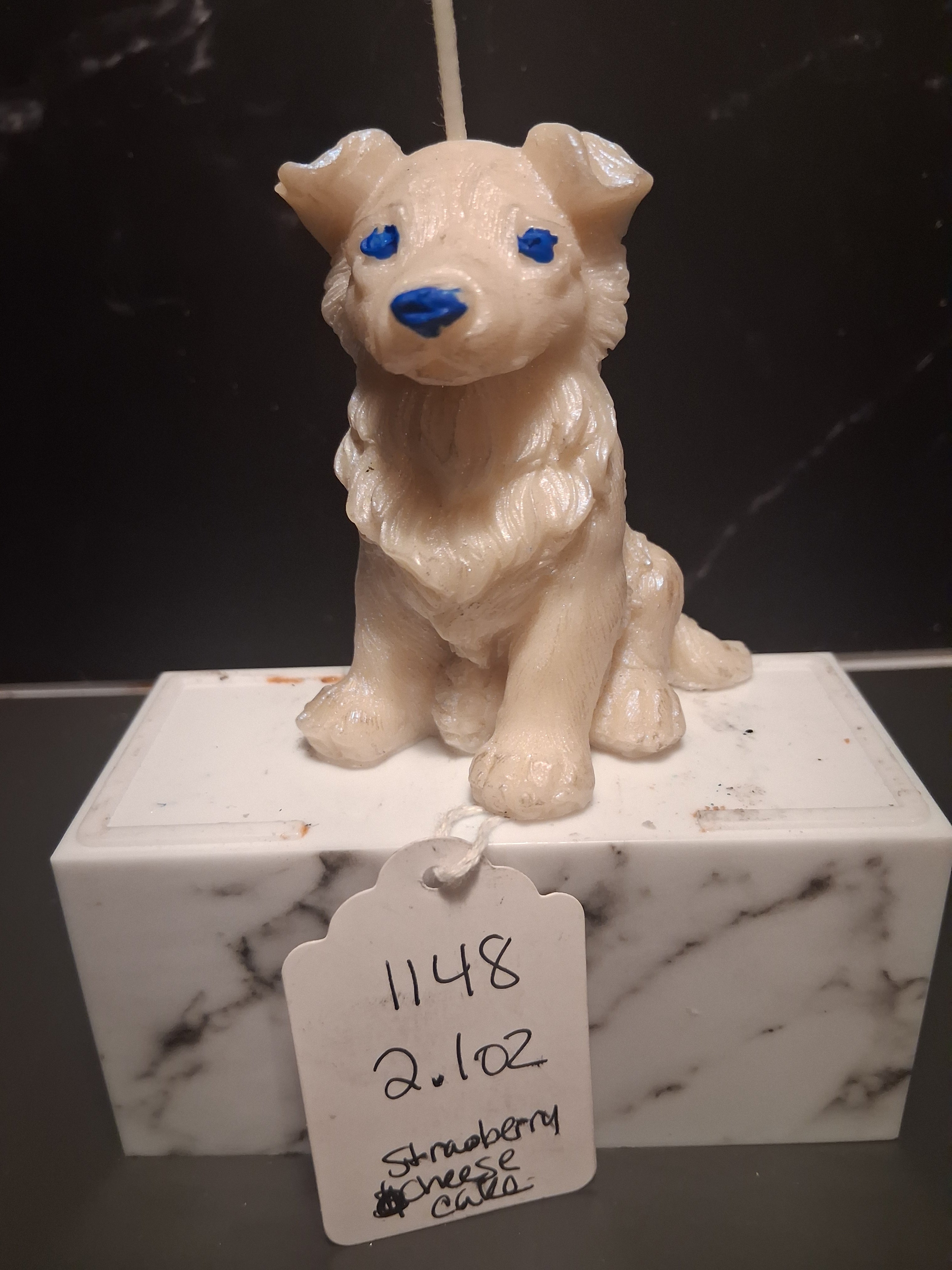 Brilliant Border Collie