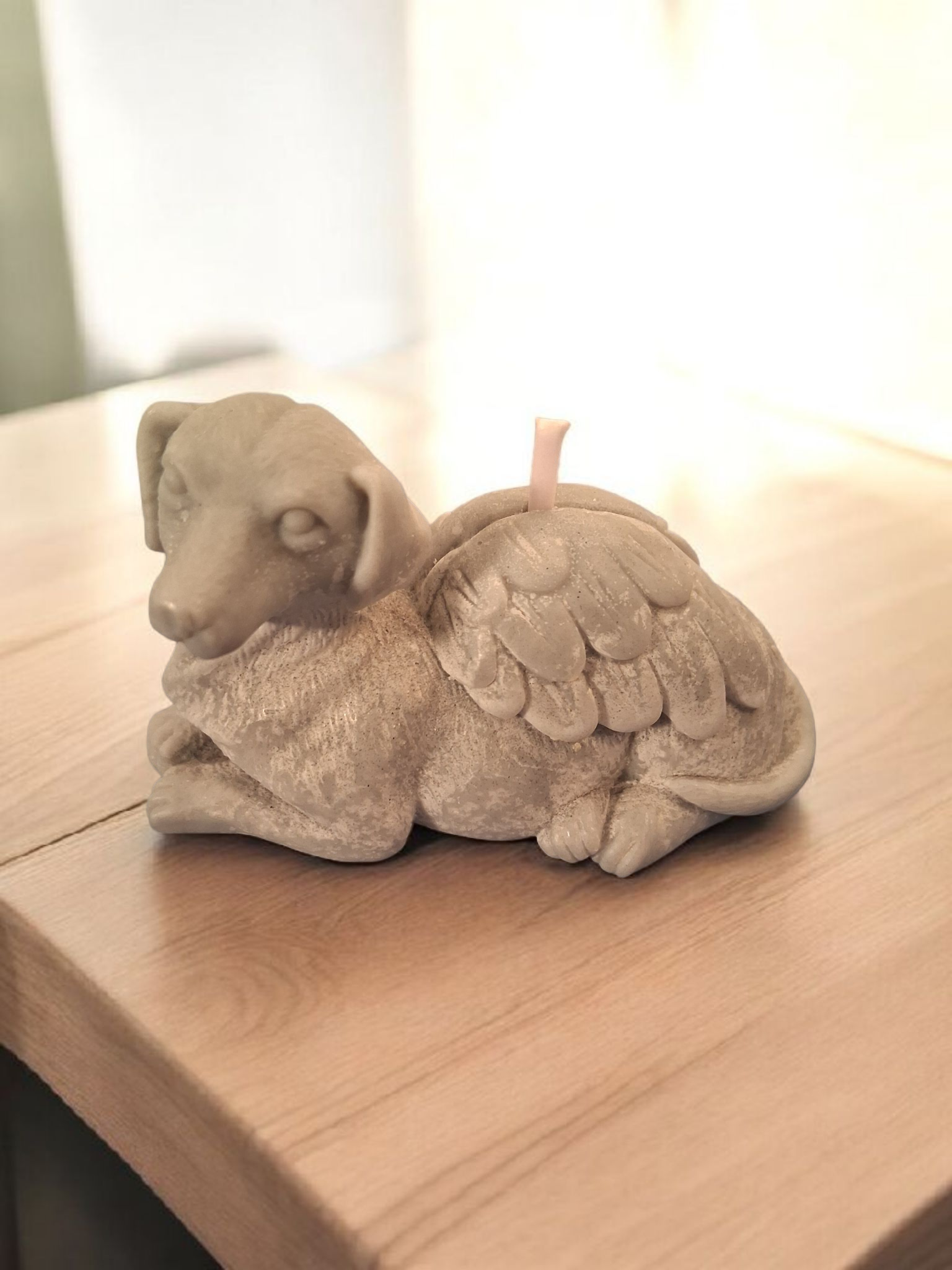 Celestial Canine Rest