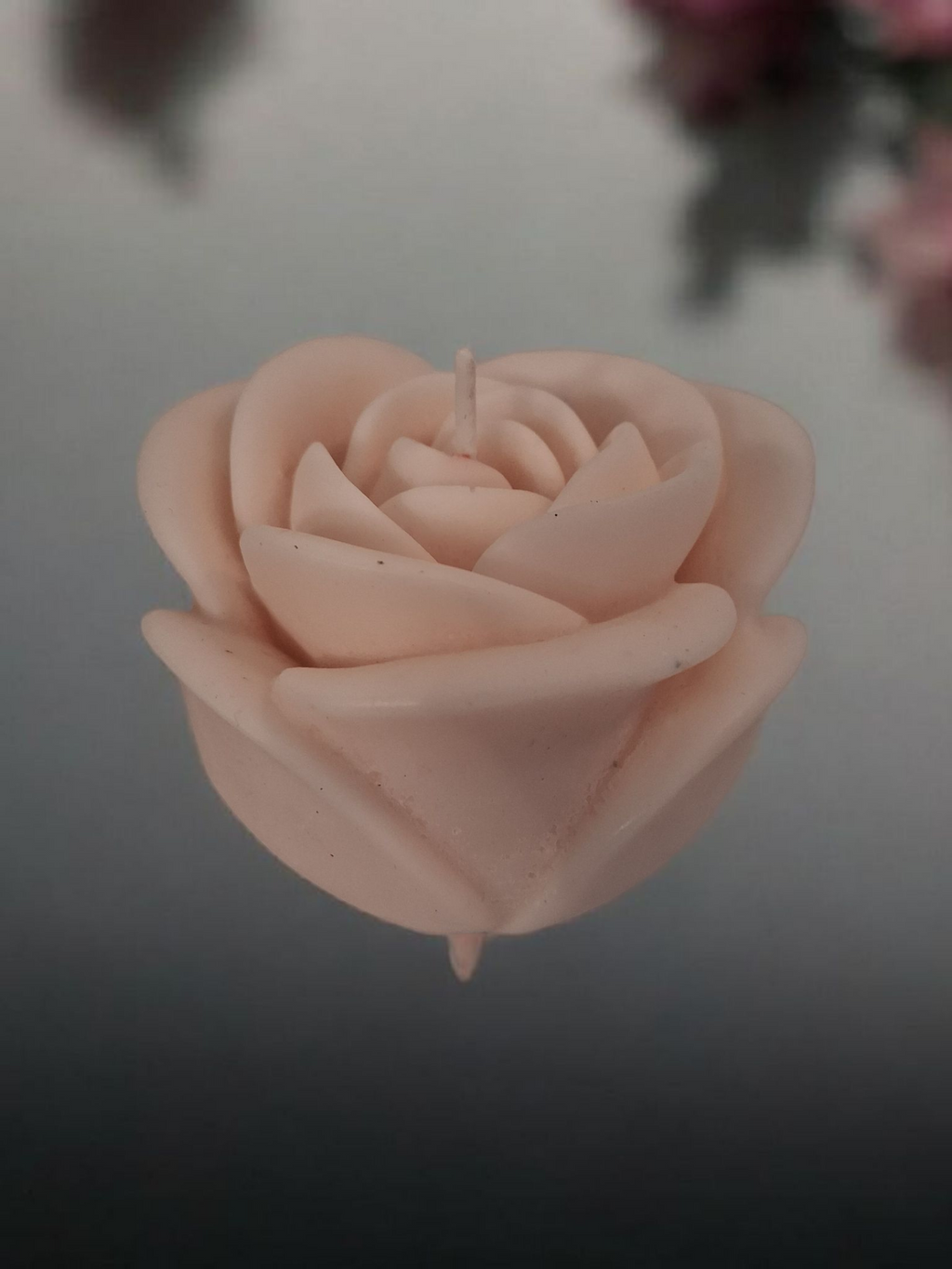 Solitary Rose Blaze 3