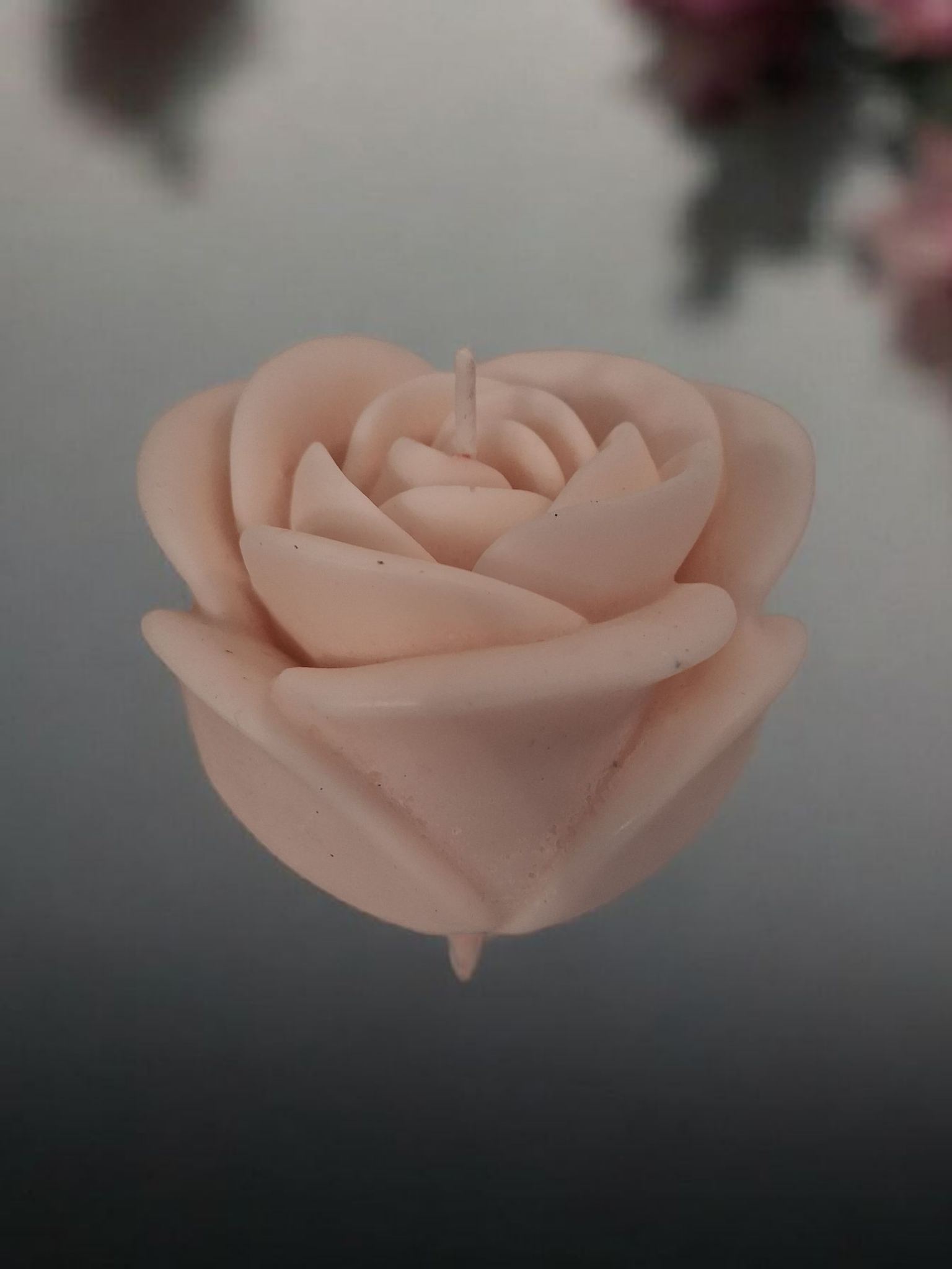 Solitary Rose Blaze 3