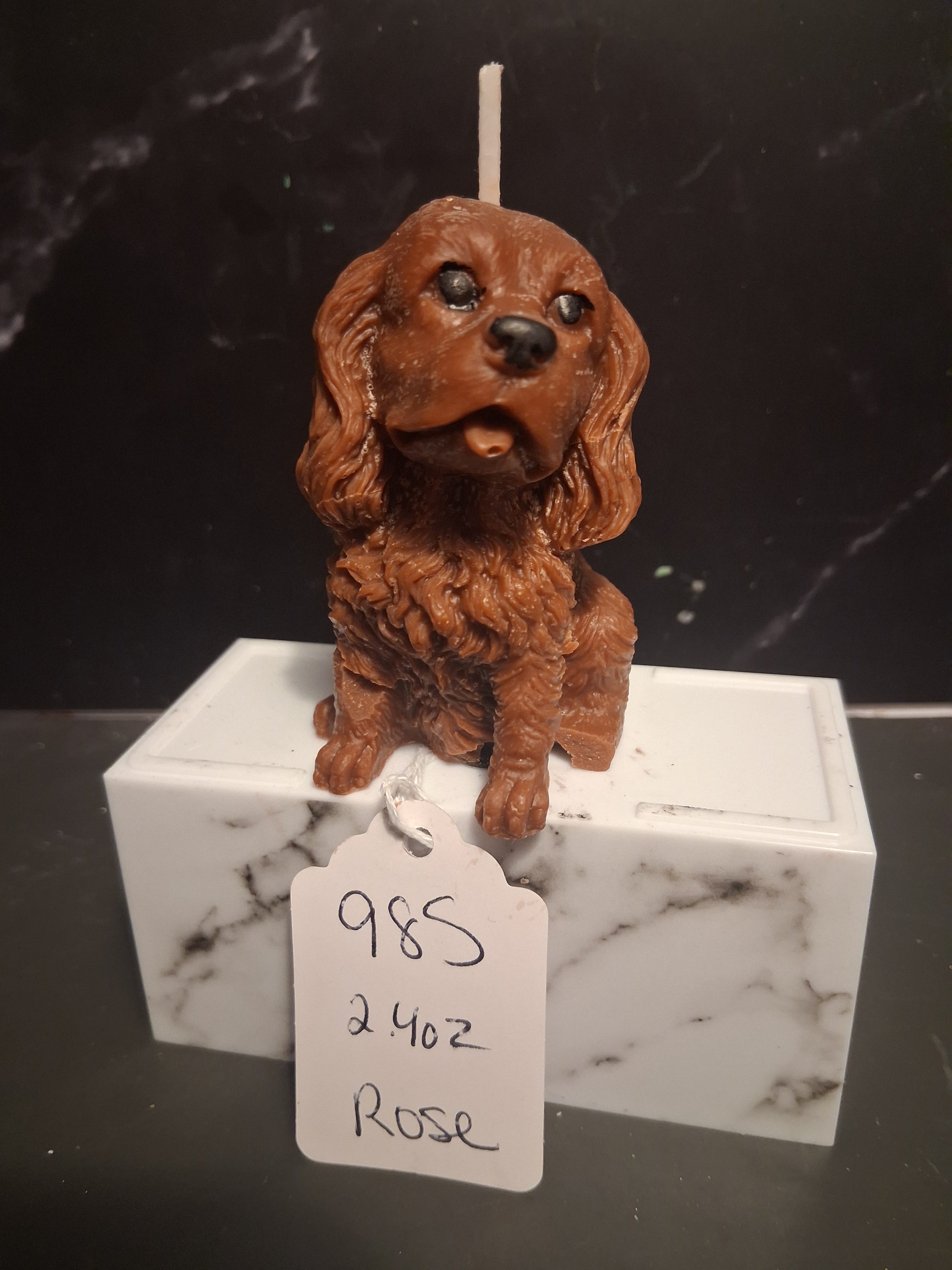 Cavalier Comfort
