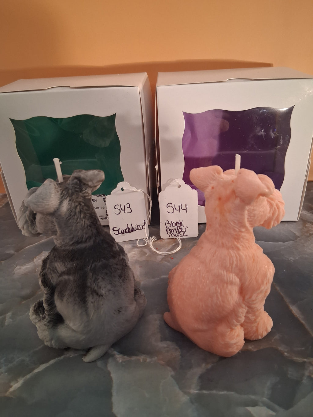 Schnauzer Spunkhouse