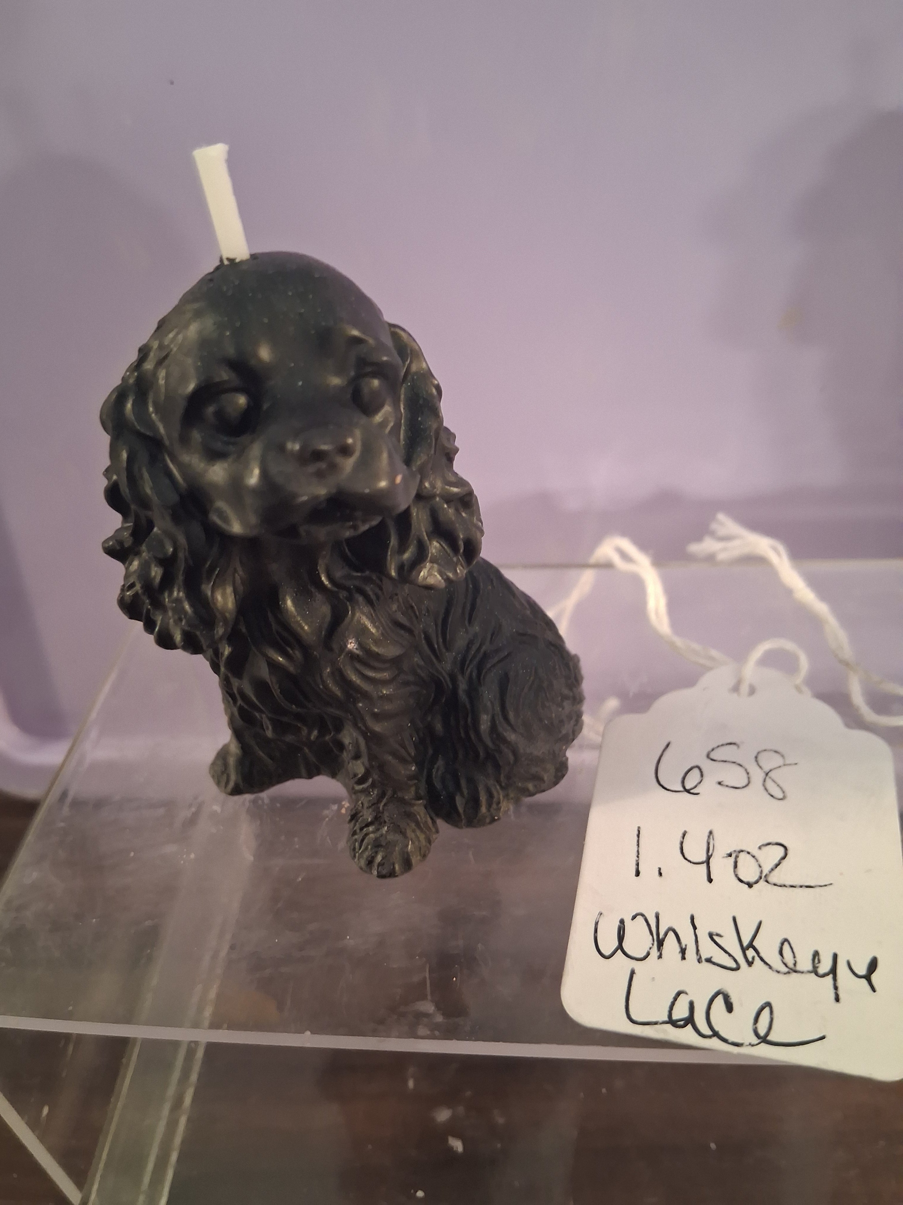 Spunky Spaniel