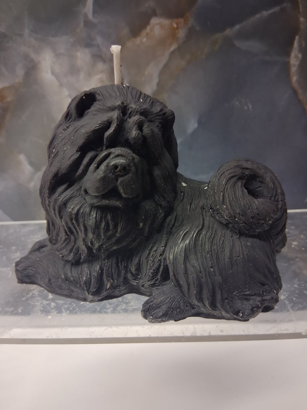 Tibetan Mastiff