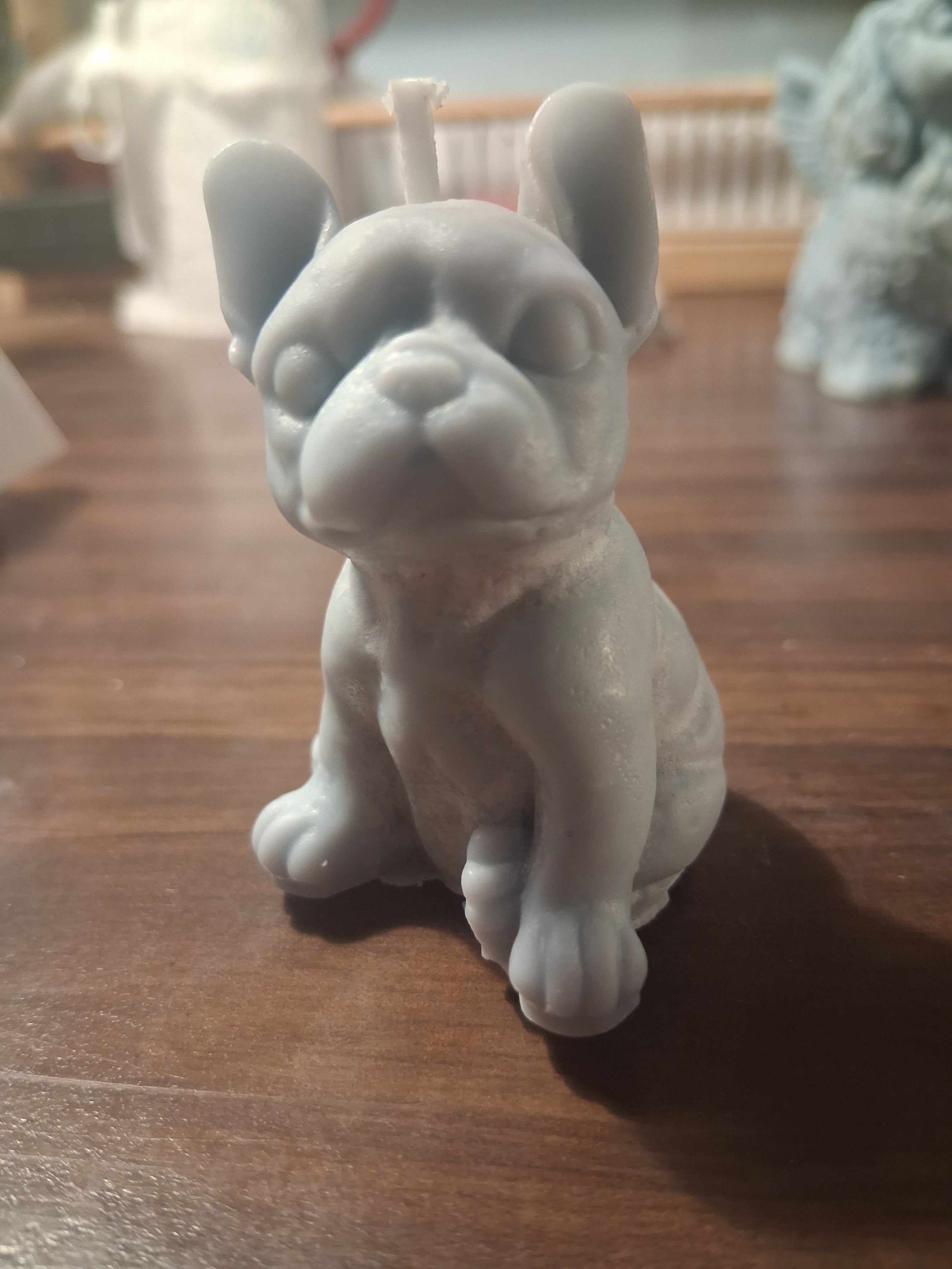 Frenchie Pup Flicker