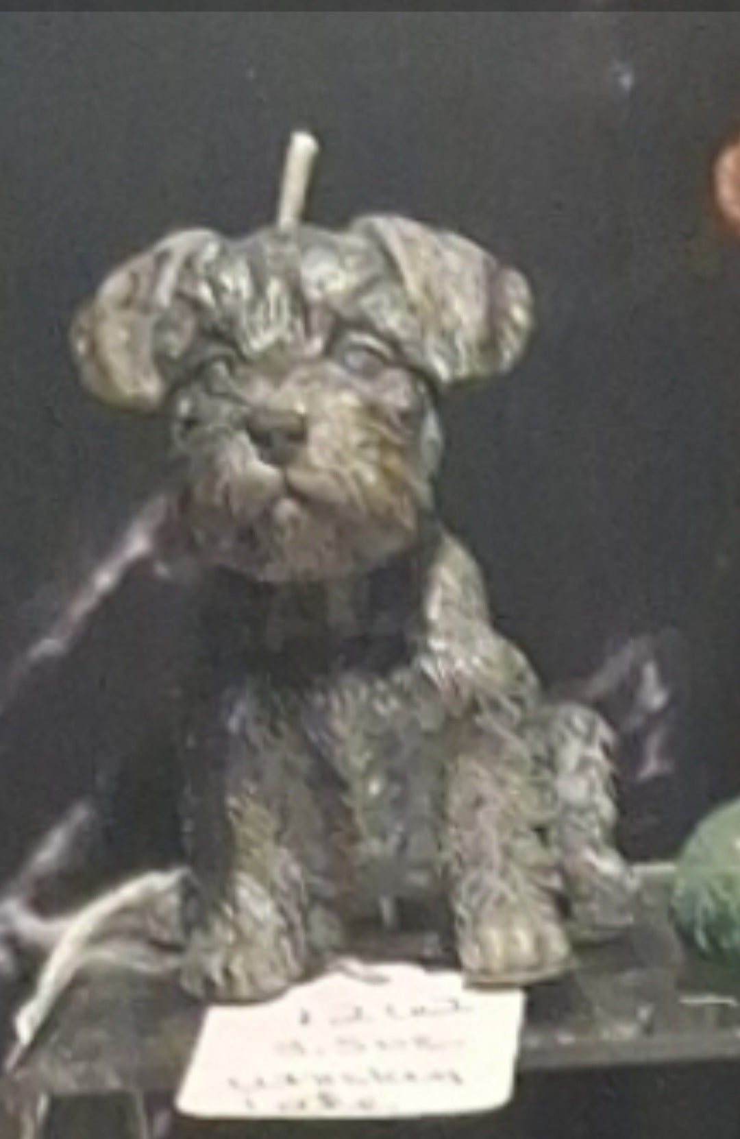 Scottish Terrier