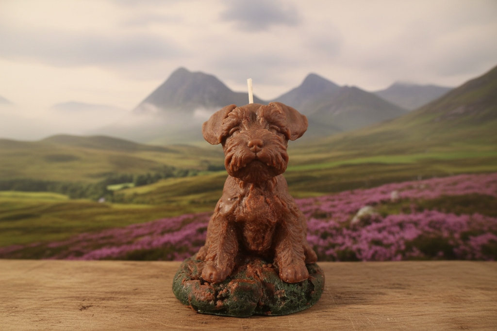Scottish Terrier