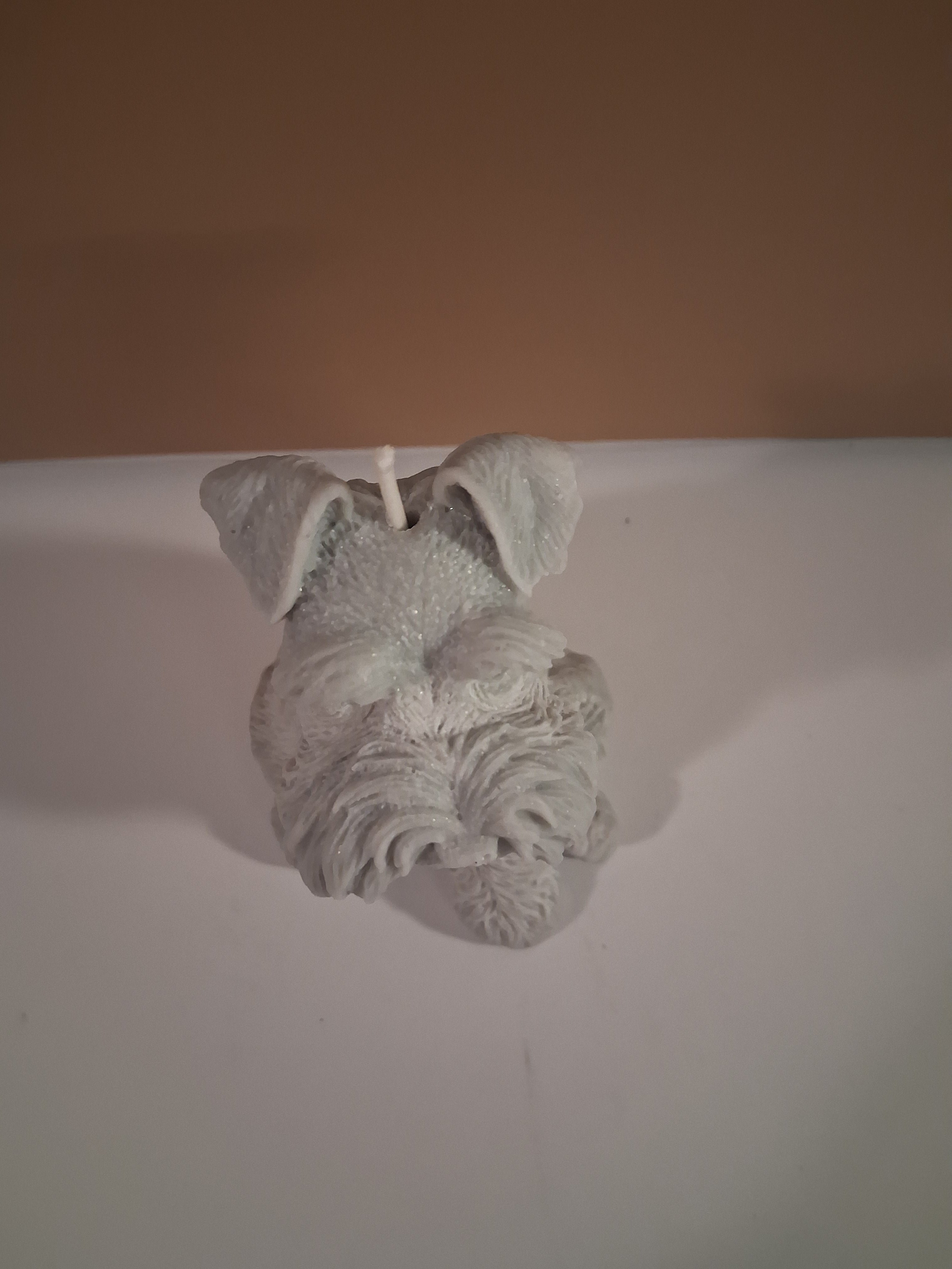 Schnauzer Spunkhouse