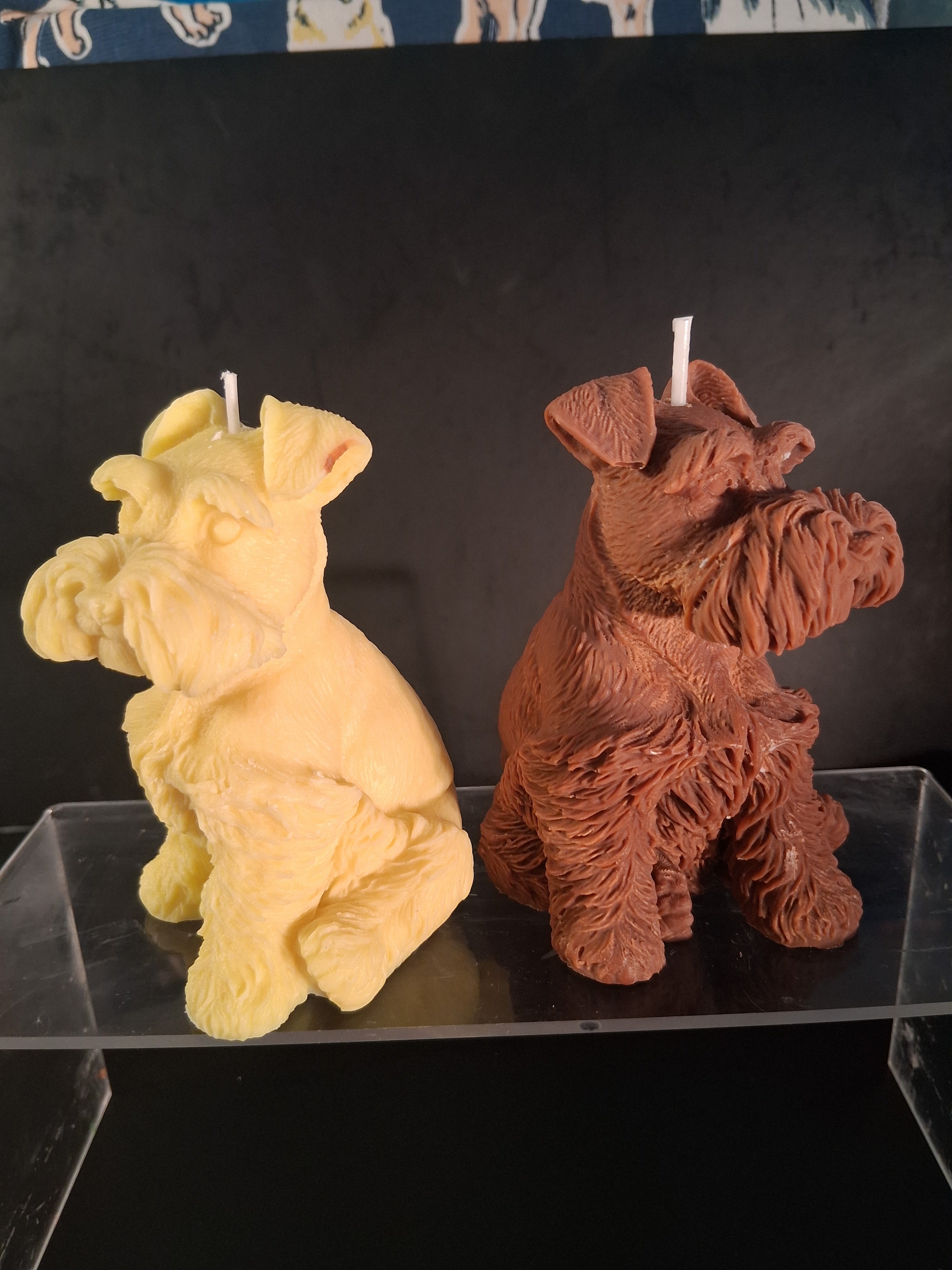 Schnauzer Spunkhouse