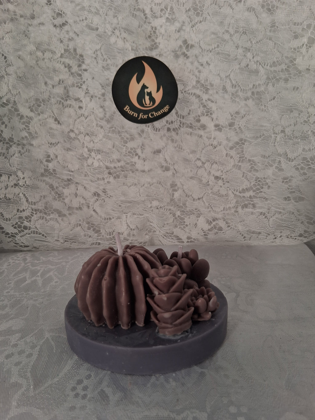 Succulent Sunset Blaze