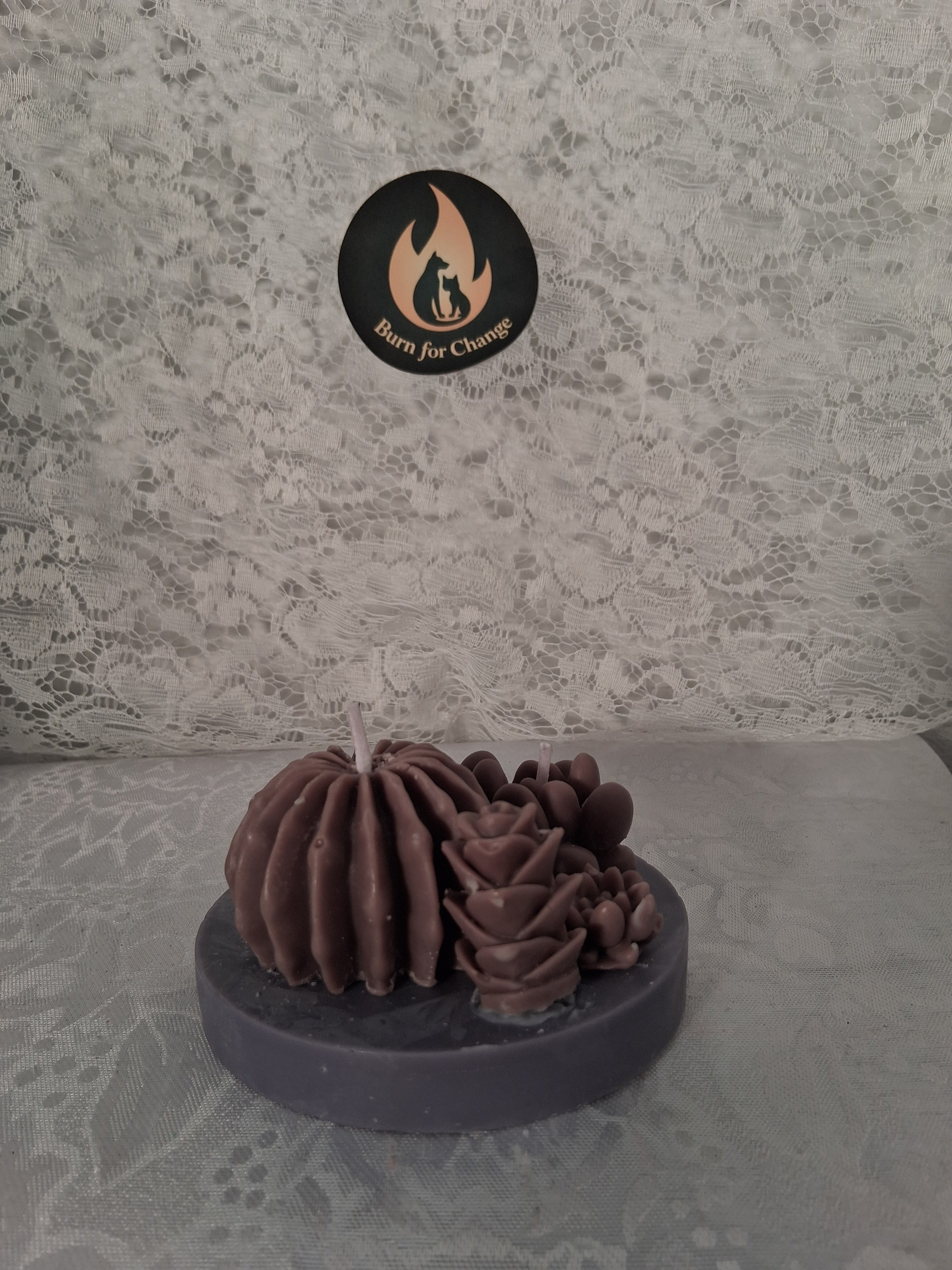 Succulent Sunset Blaze