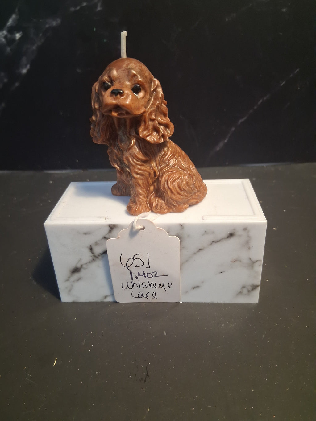 Spunky Spaniel