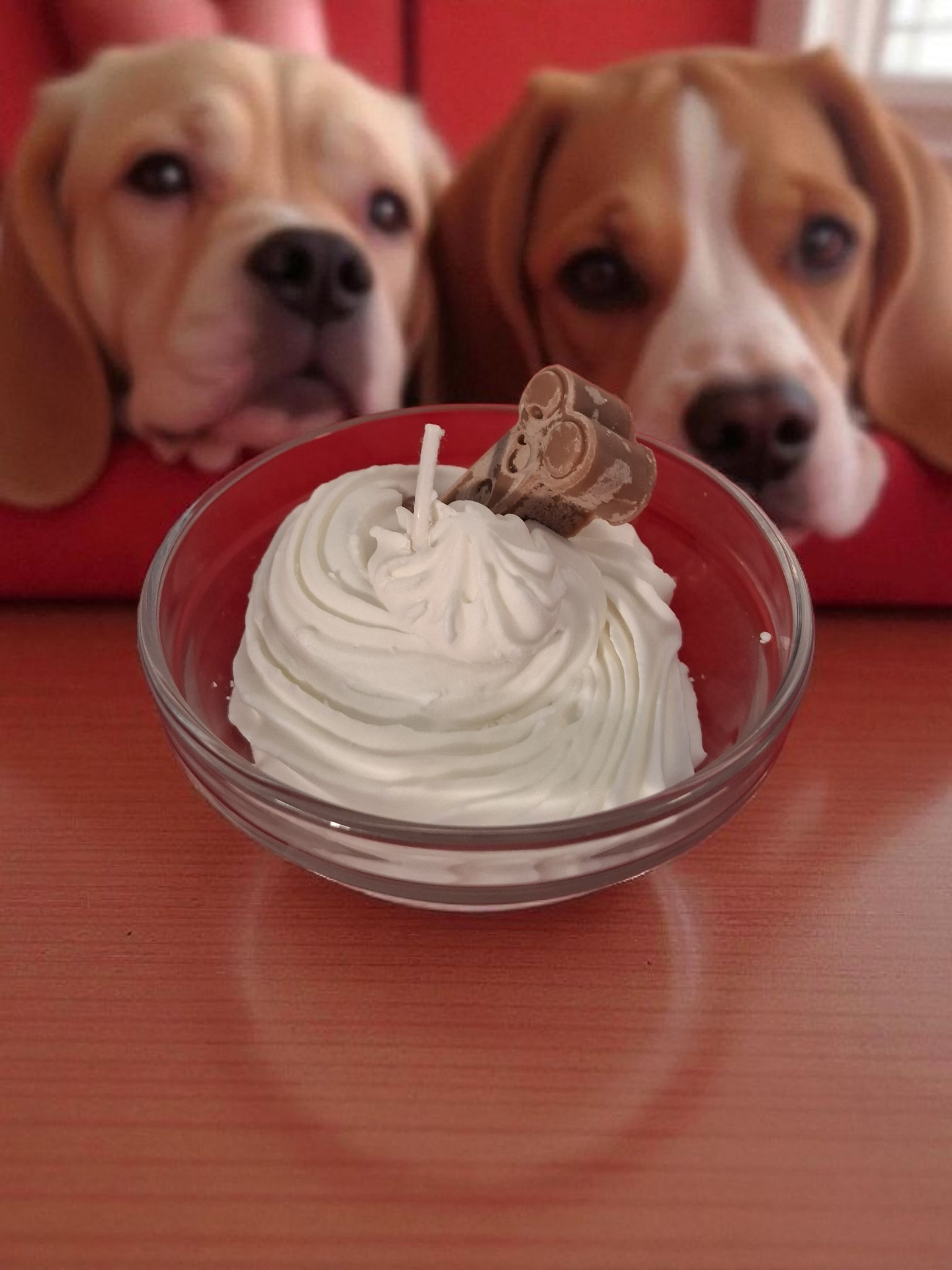 Pup Cup