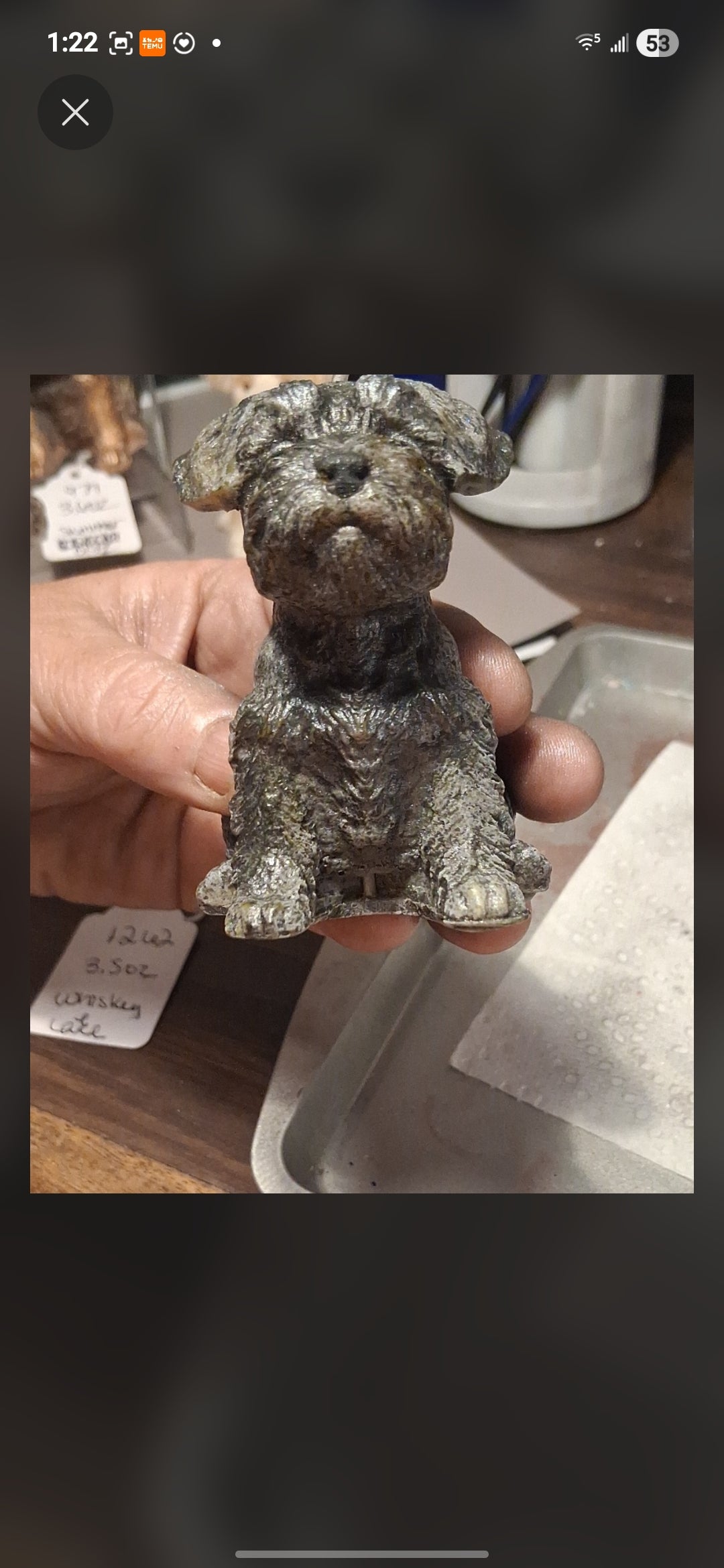 Scottish Terrier