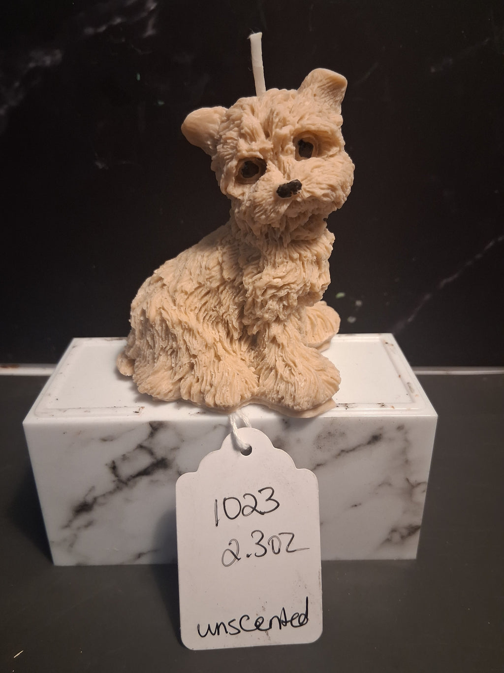 Scruffy Terrier
