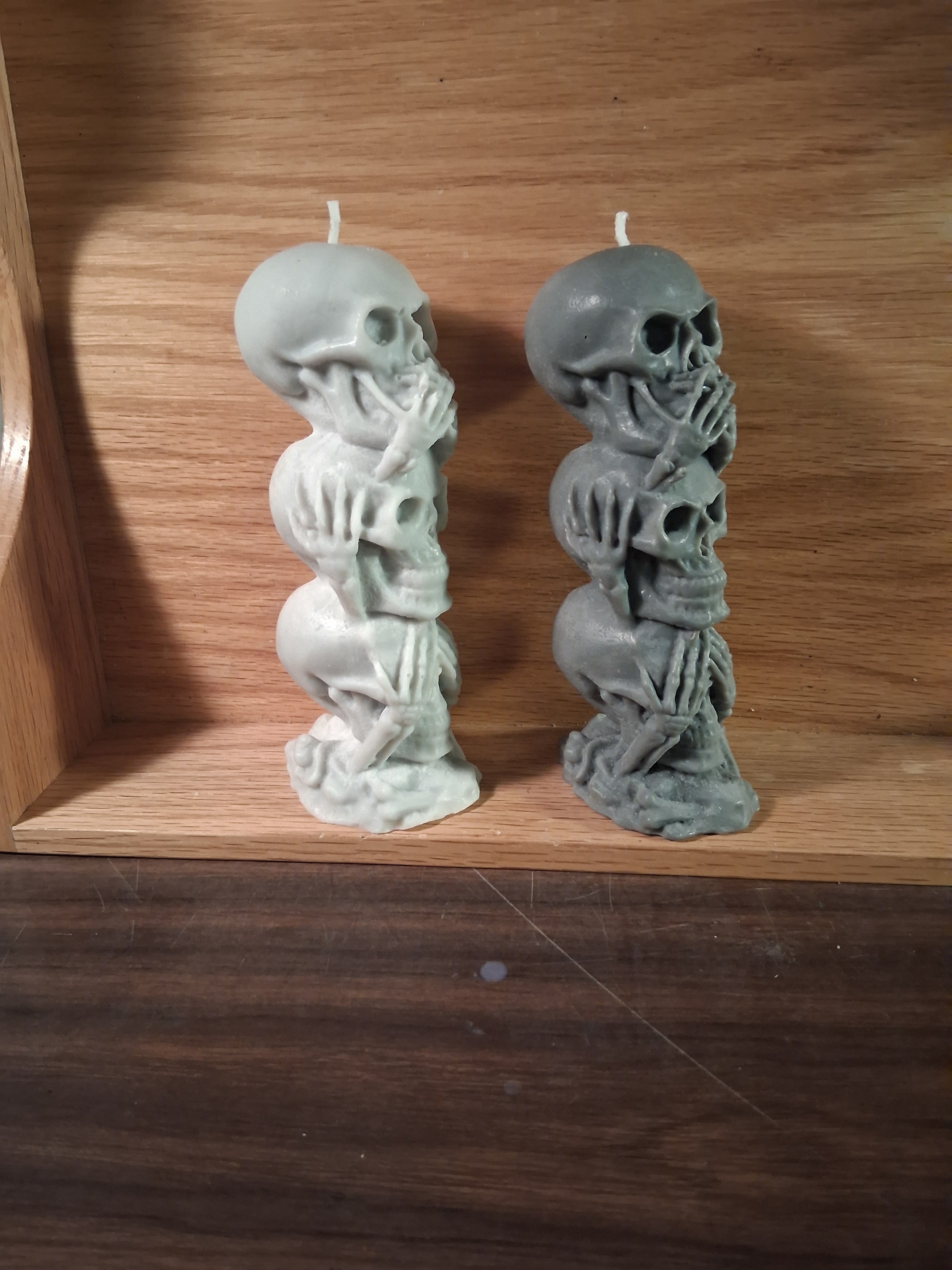 Silent Skull Sentinel ☠️