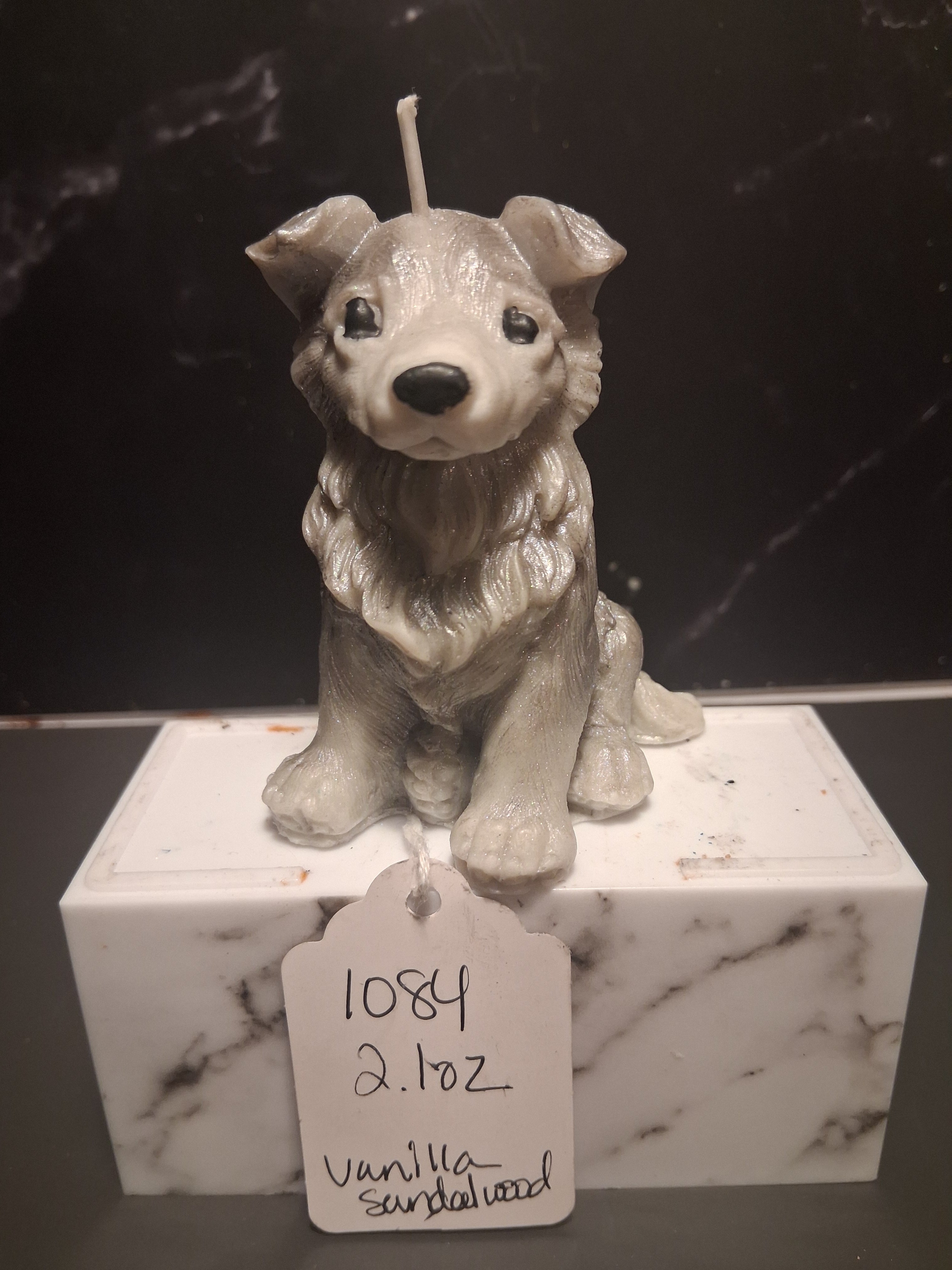 Brilliant Border Collie