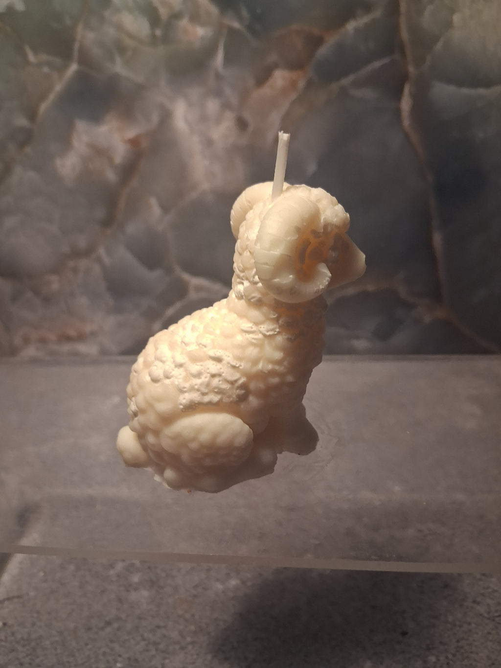 The Regal Ram
