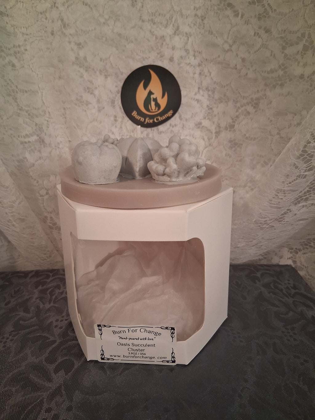 Oasis Succulent Cluster