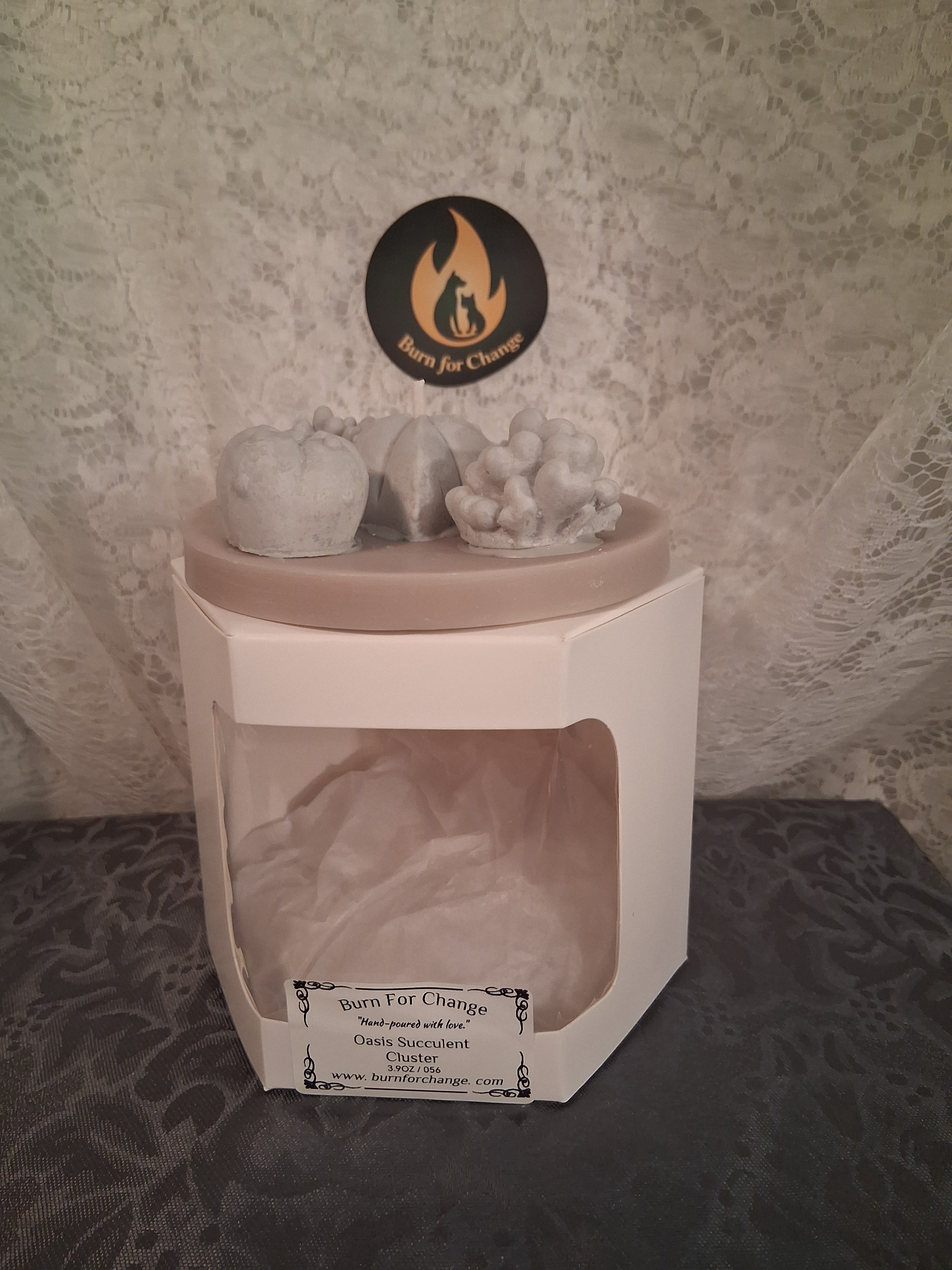 Oasis Succulent Cluster