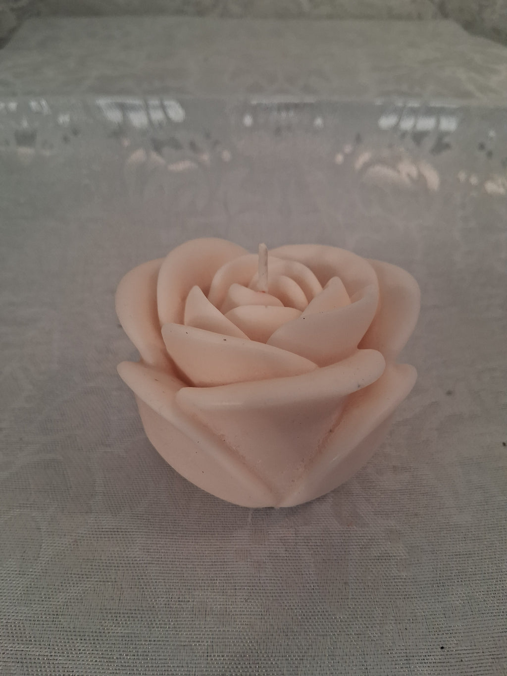 Solitary Rose Blaze 3