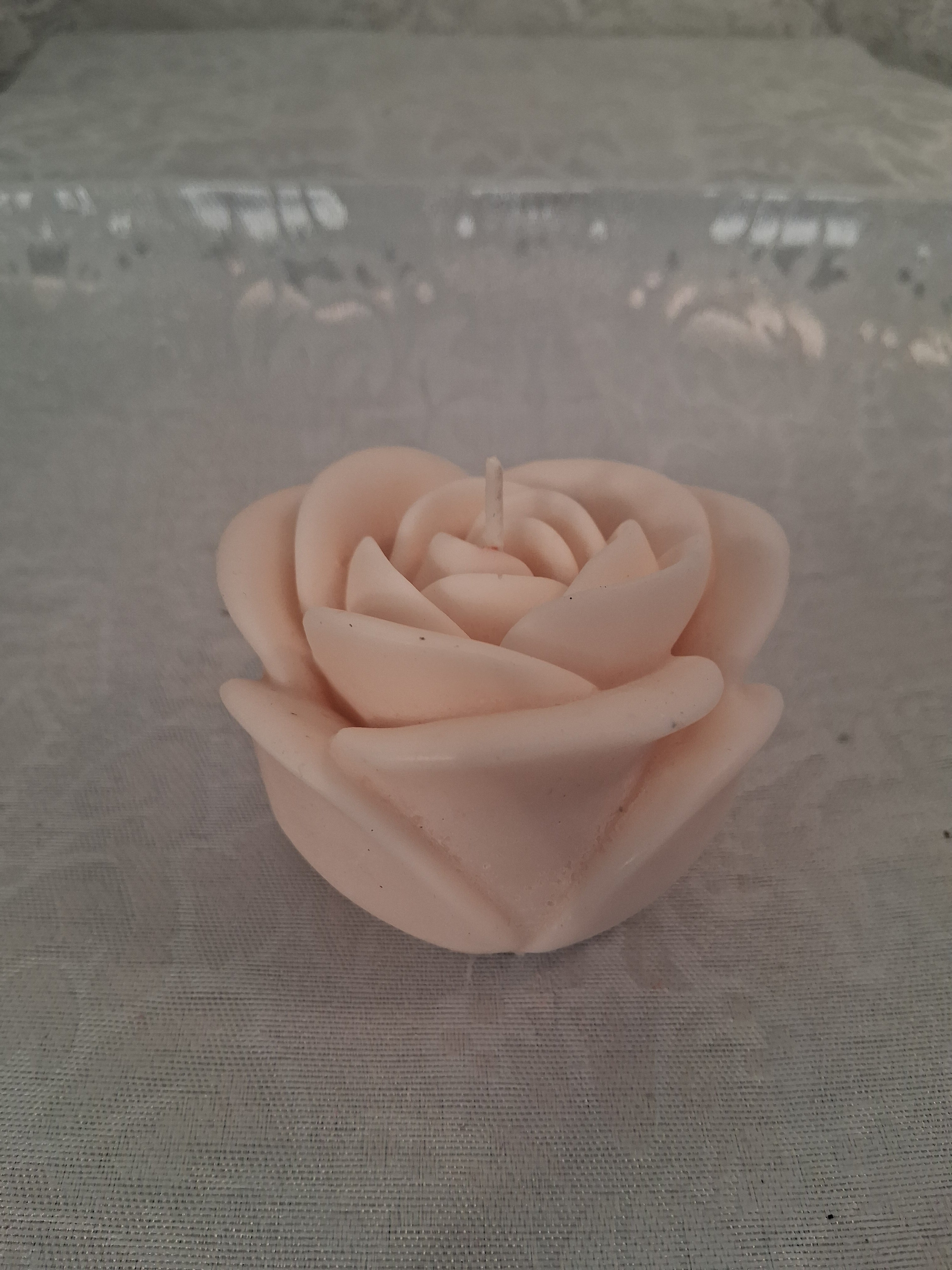 Solitary Rose Blaze 3