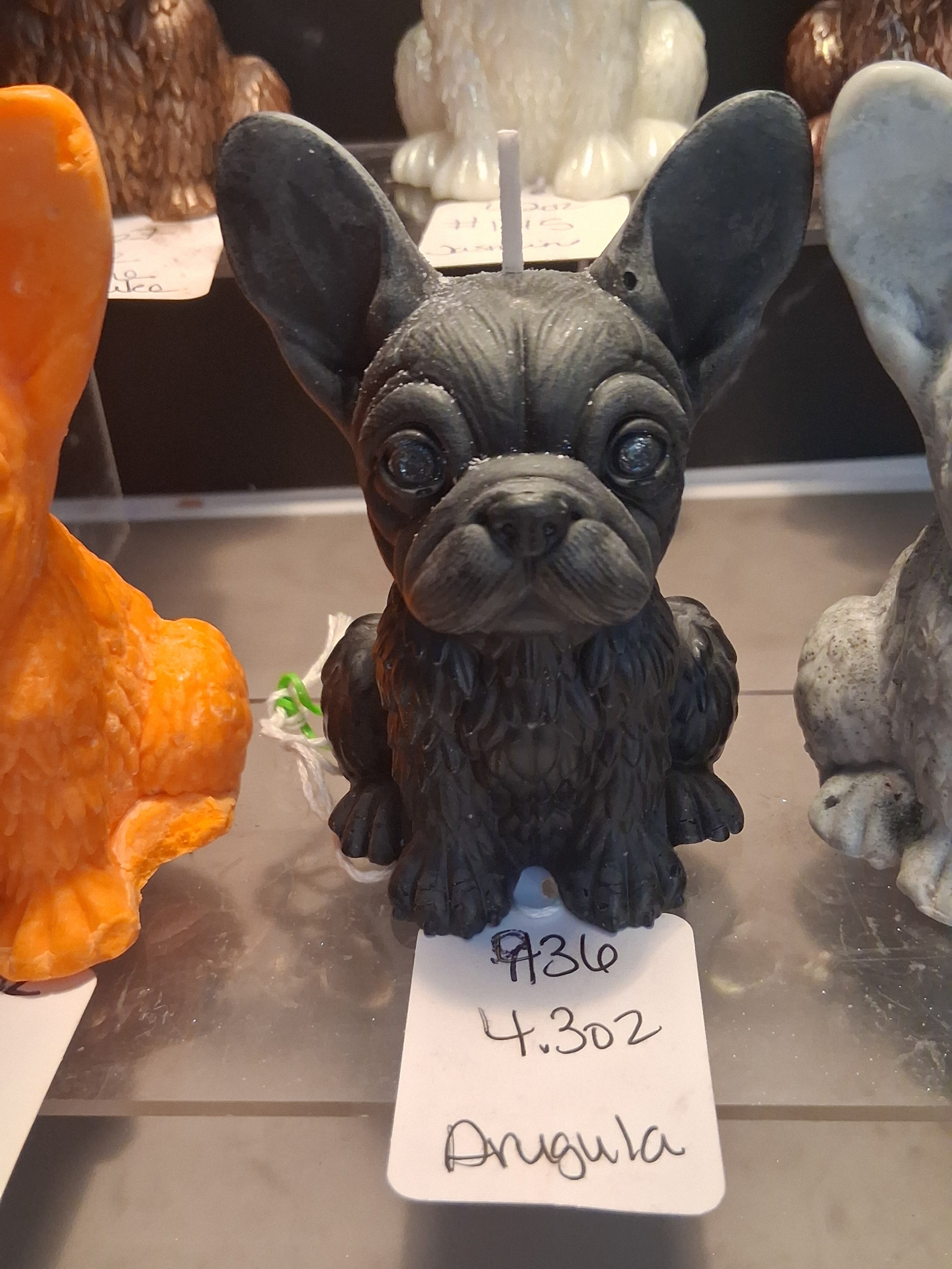 Firelight Frenchie