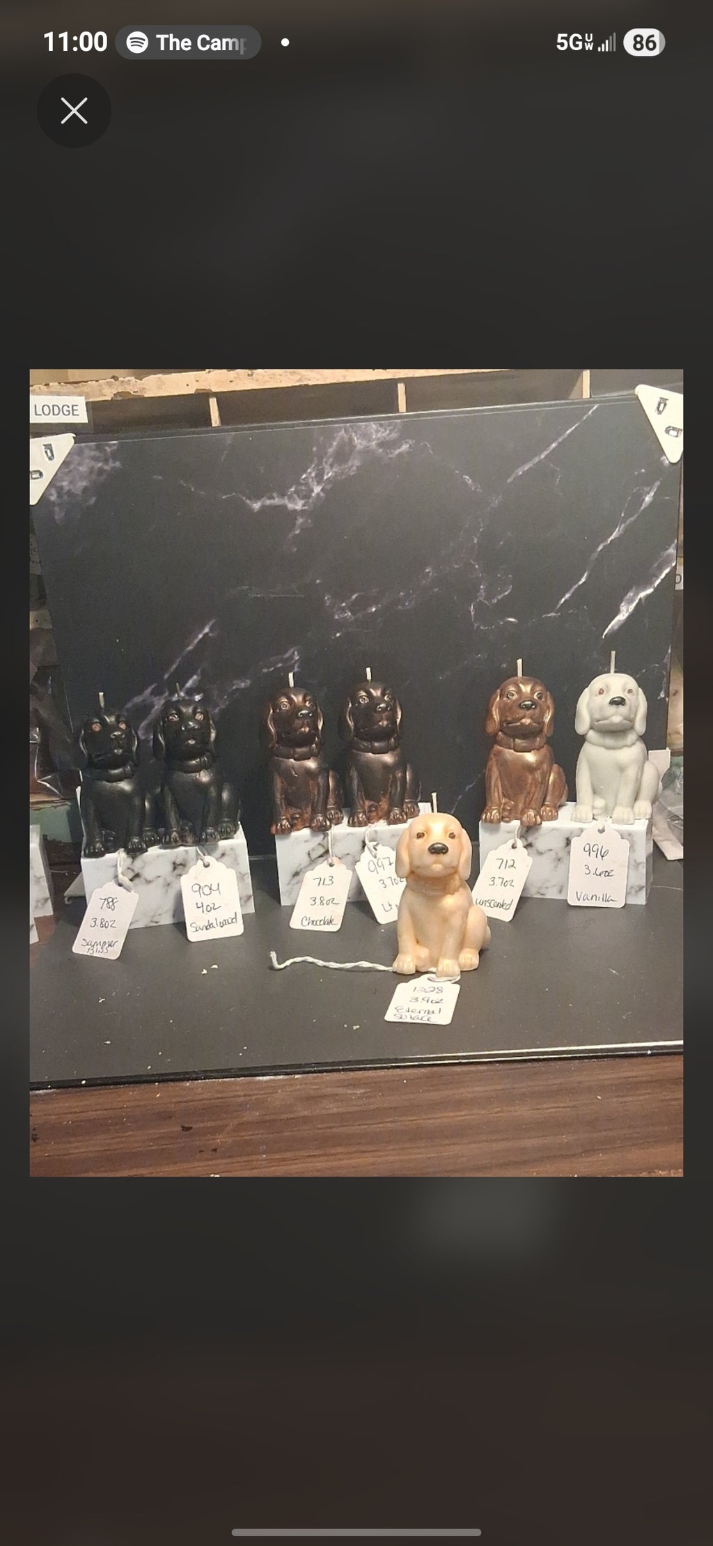 Loyal Lab