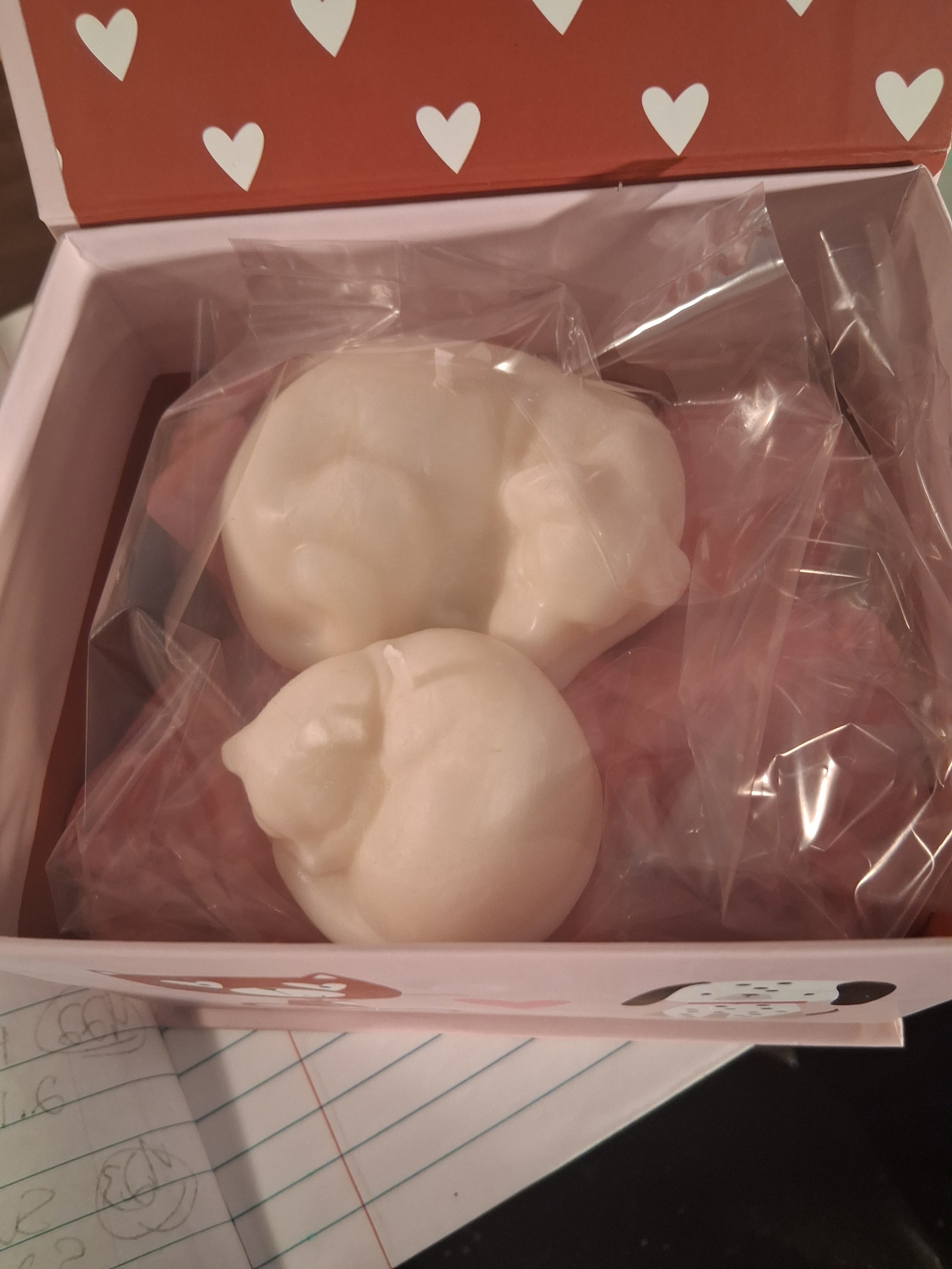 Paw-fect Together (Set of 2)