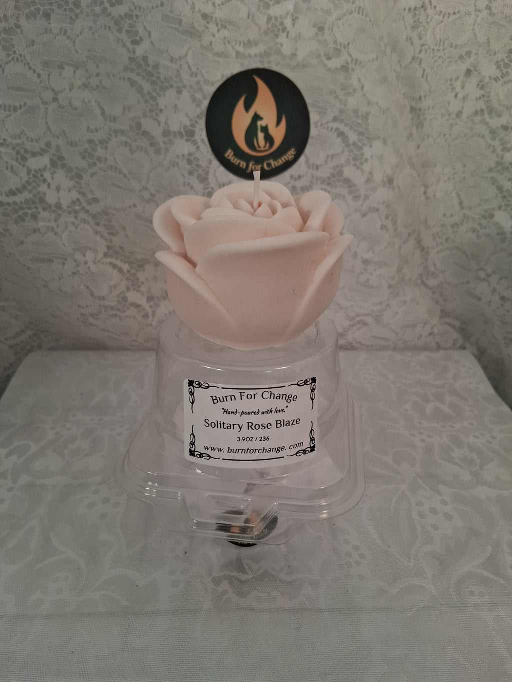 Solitary Rose Blaze 3