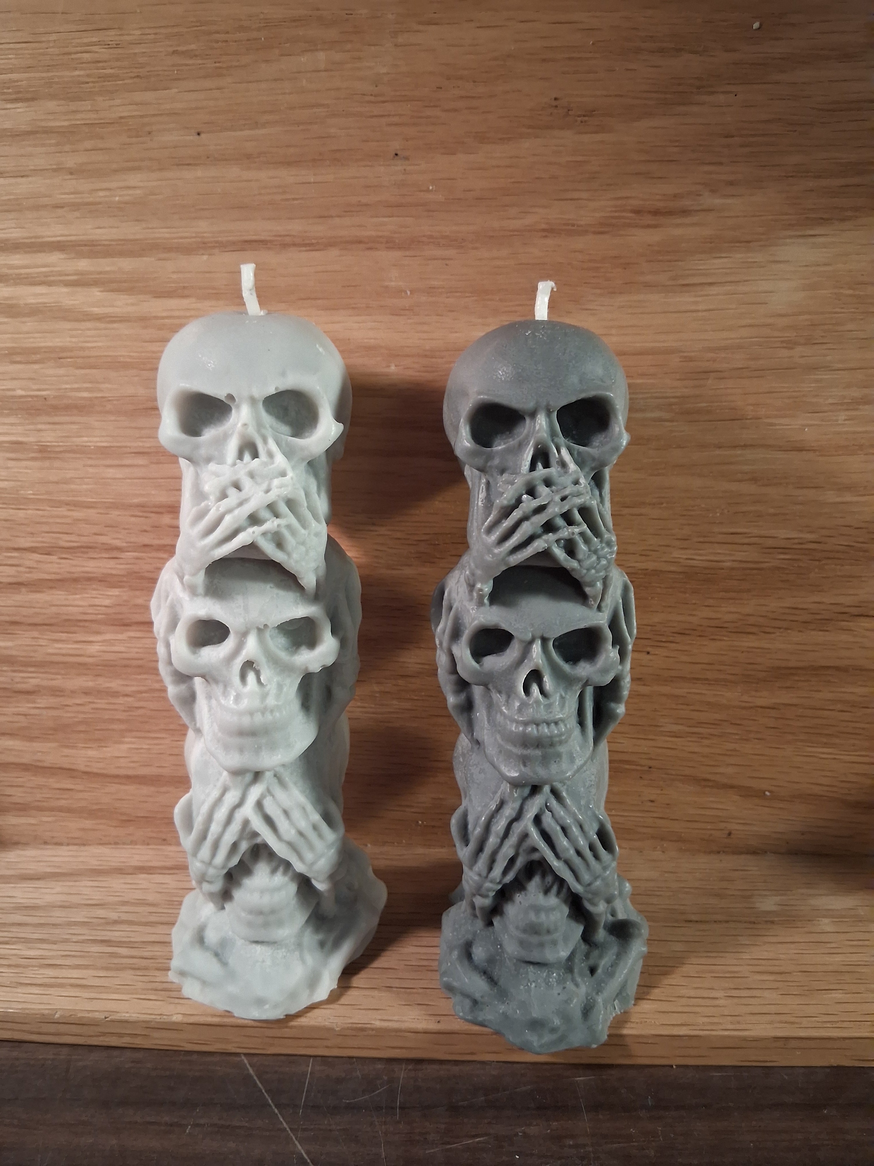 Silent Skull Sentinel ☠️