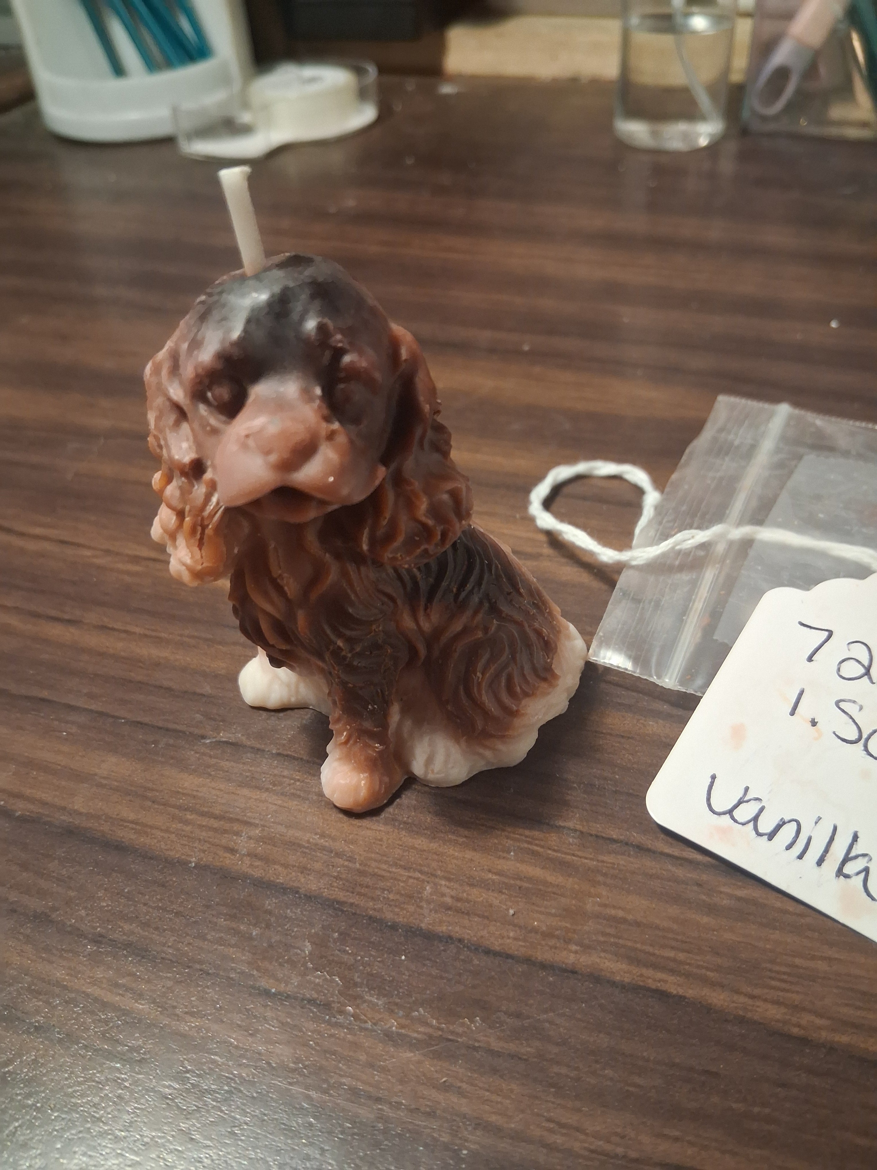 Spunky Spaniel