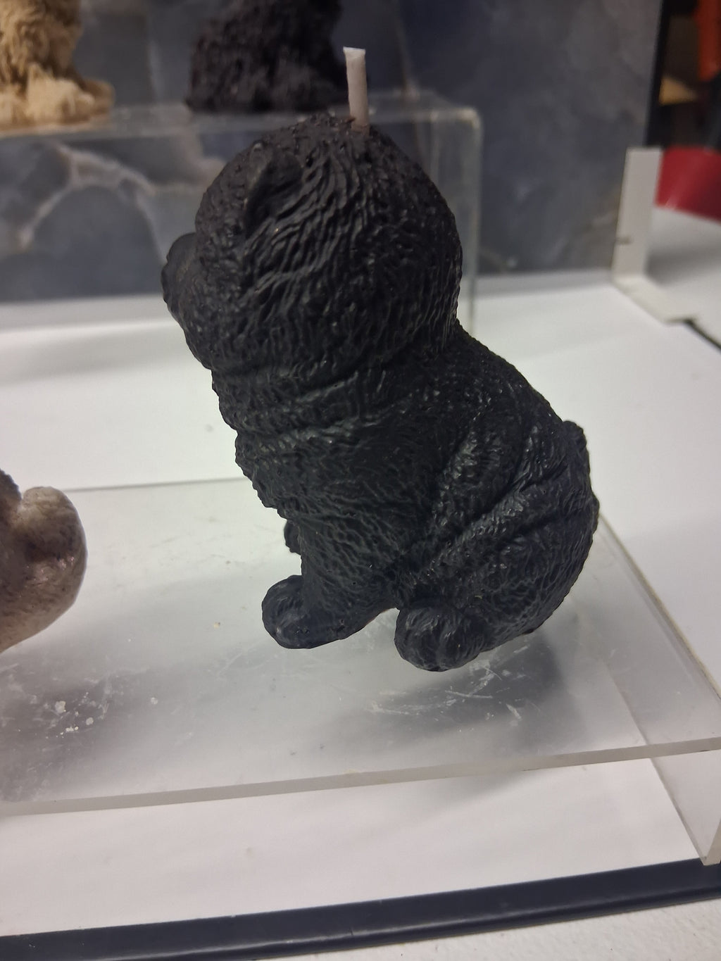 Chow Chow Charm