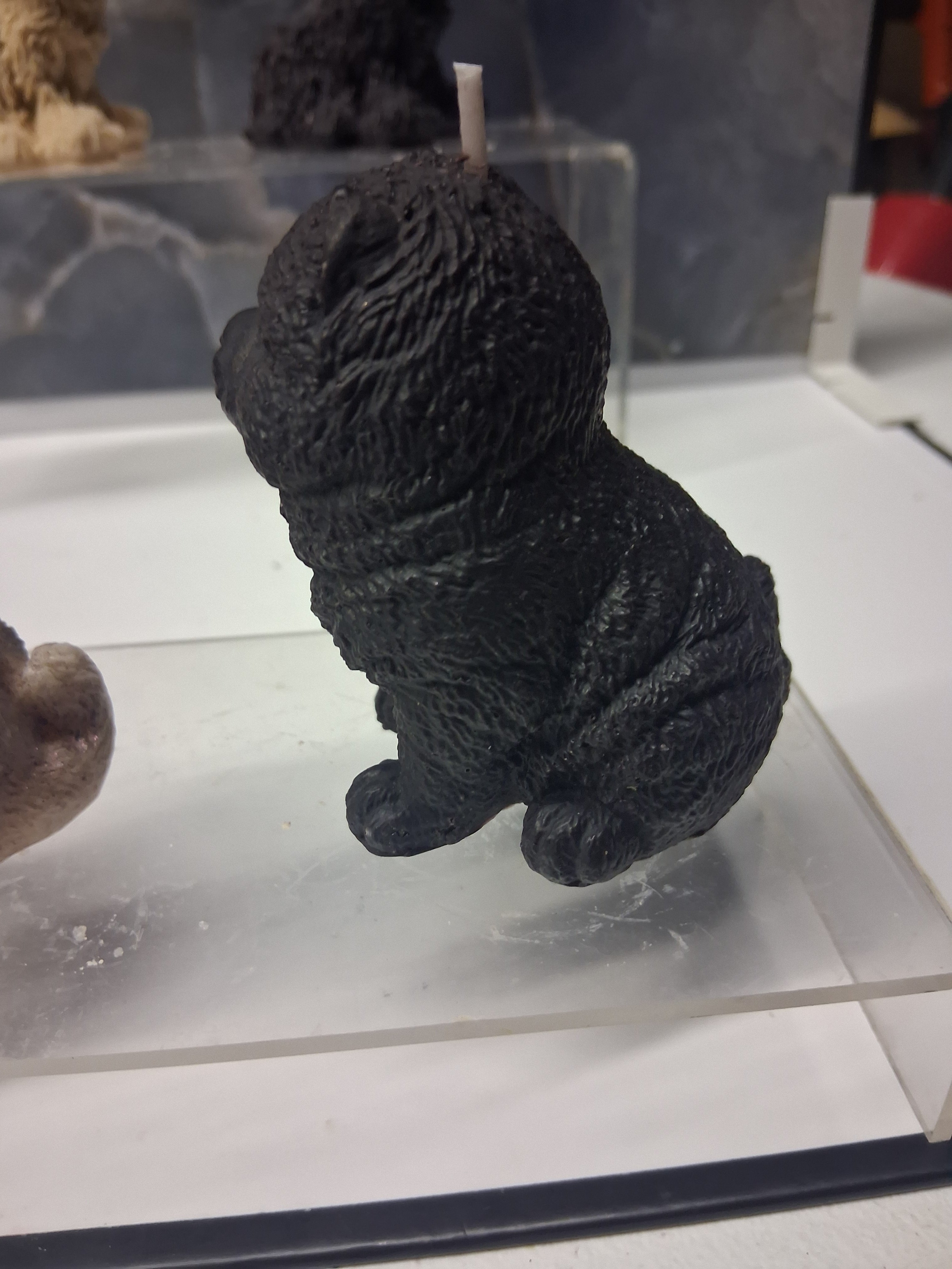 Chow Chow Charm