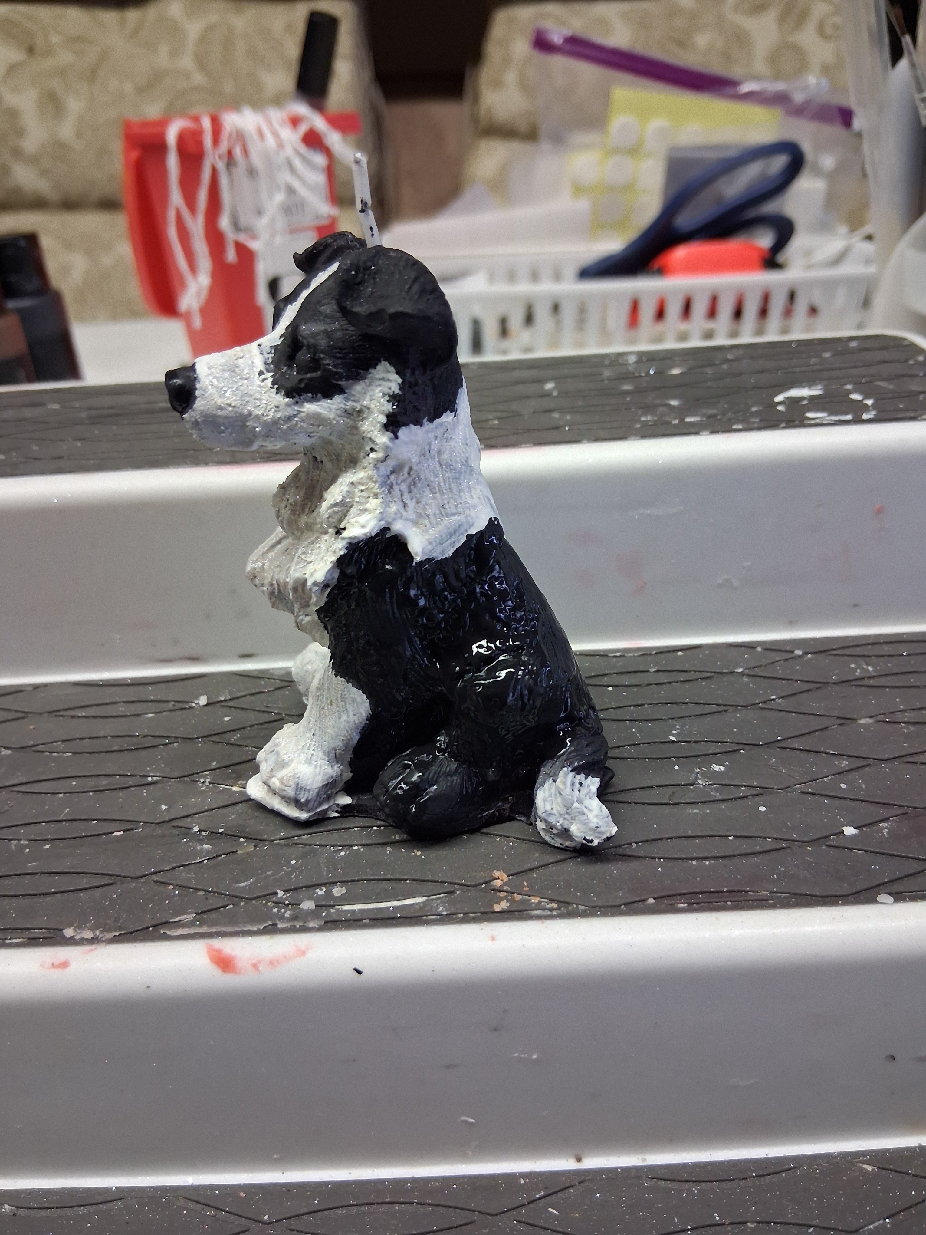 Brilliant Border Collie