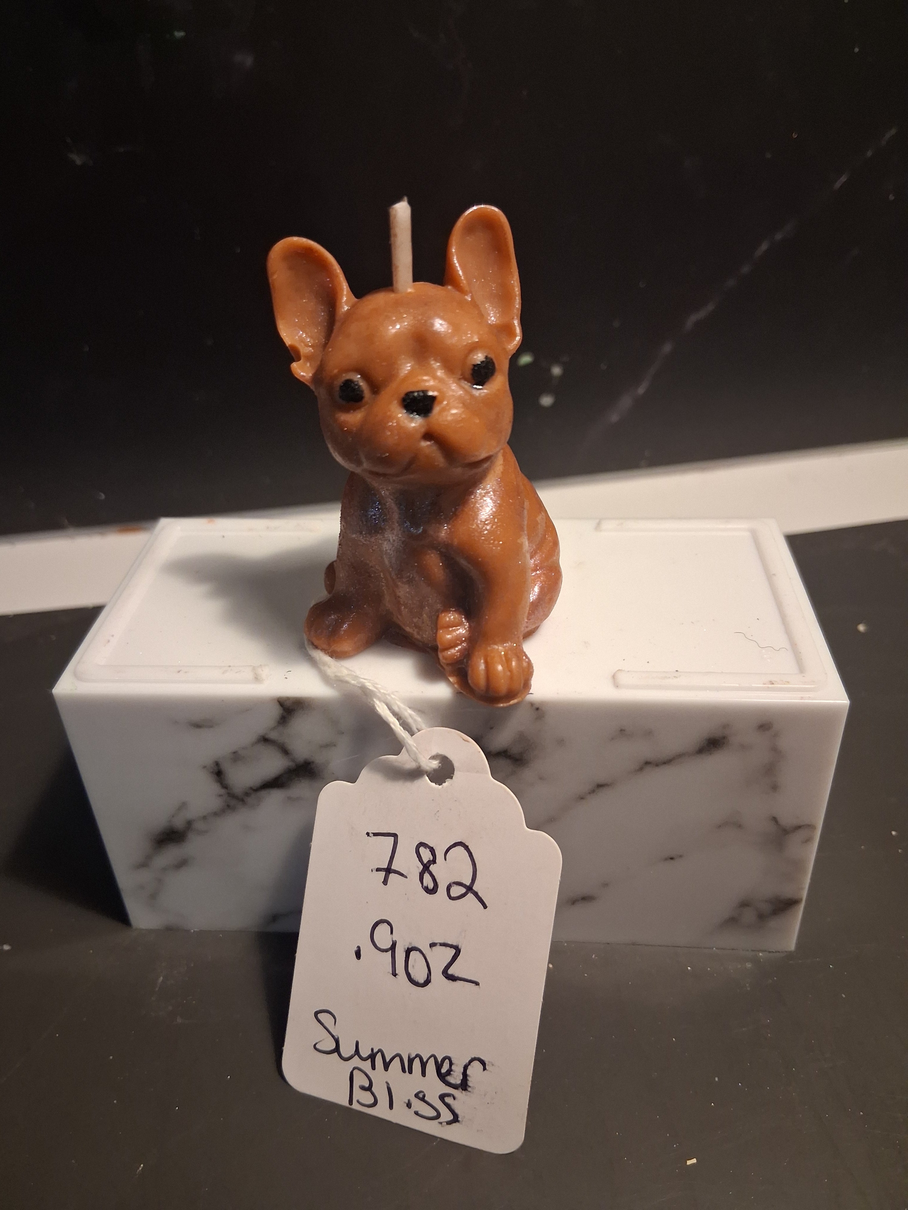 Frenchie Pup Flicker