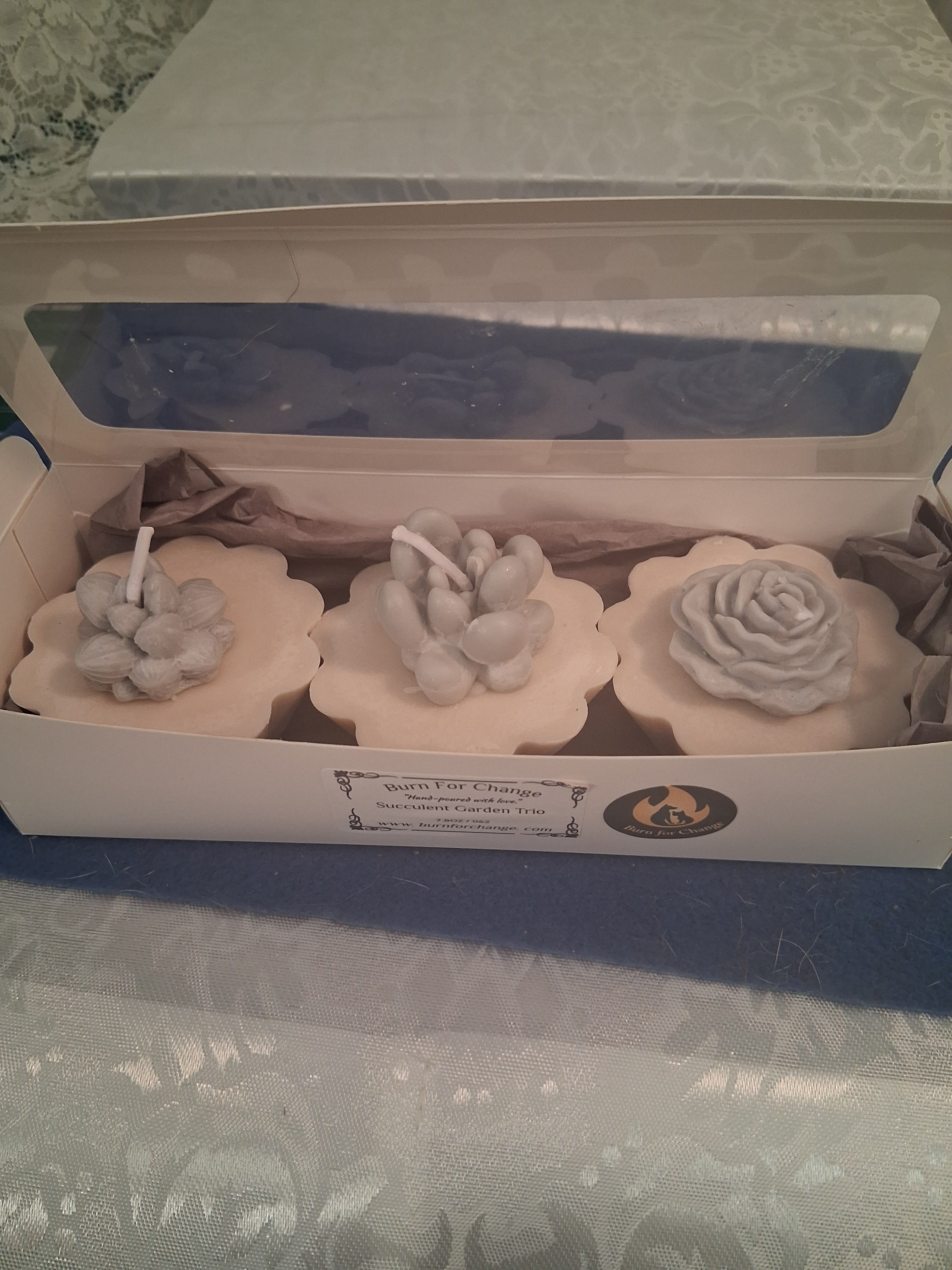 Succulent Garden Trio