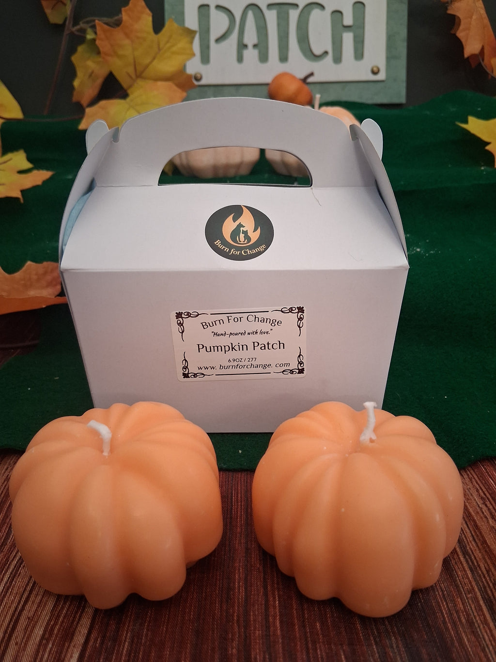 Pumpkin Patch 5 (Set of 2)
