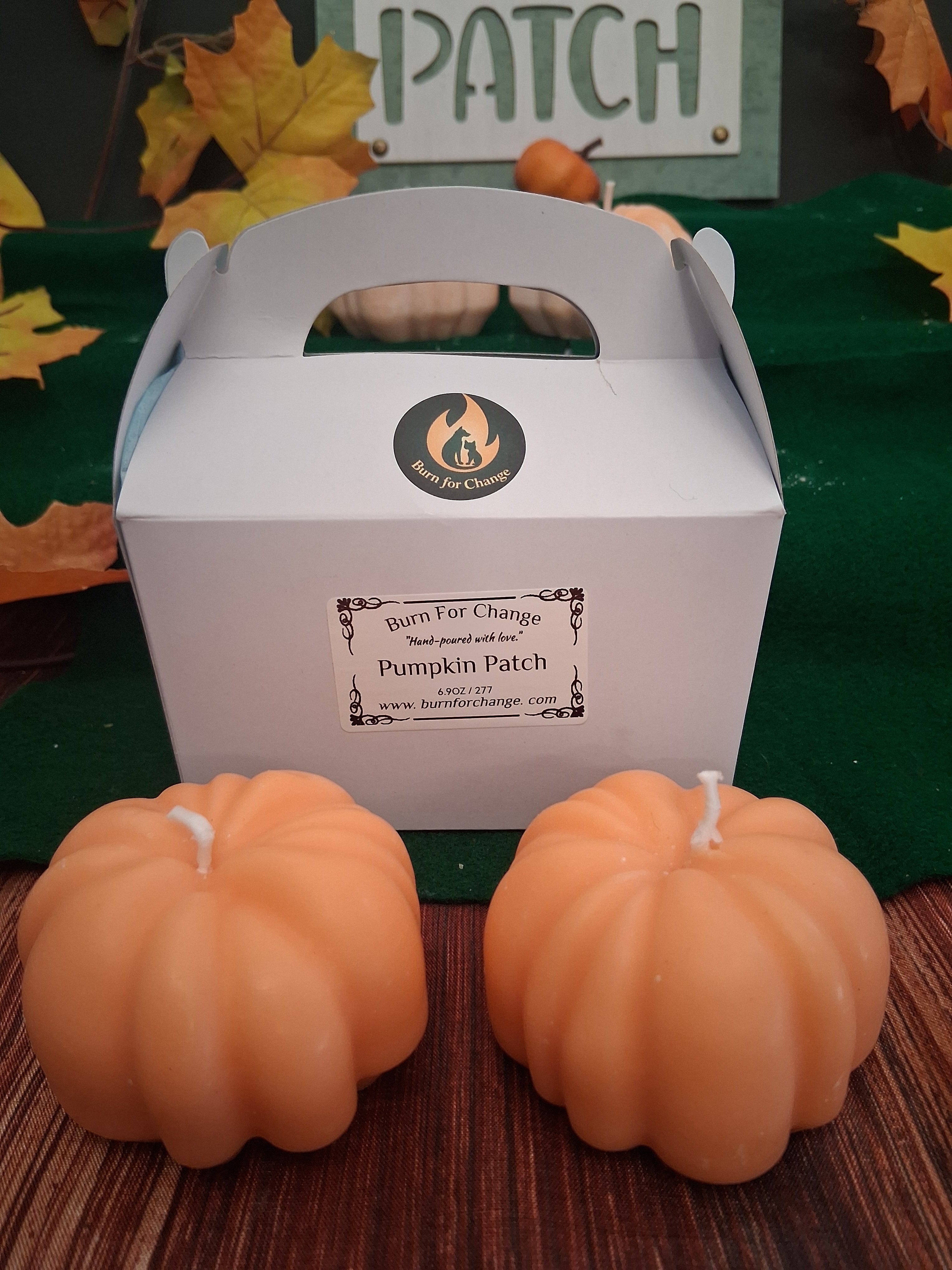 Pumpkin Patch 5 (Set of 2)